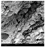 Molecules 30 01877 i006