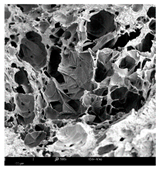 Molecules 30 01877 i009