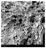 Molecules 30 01877 i012