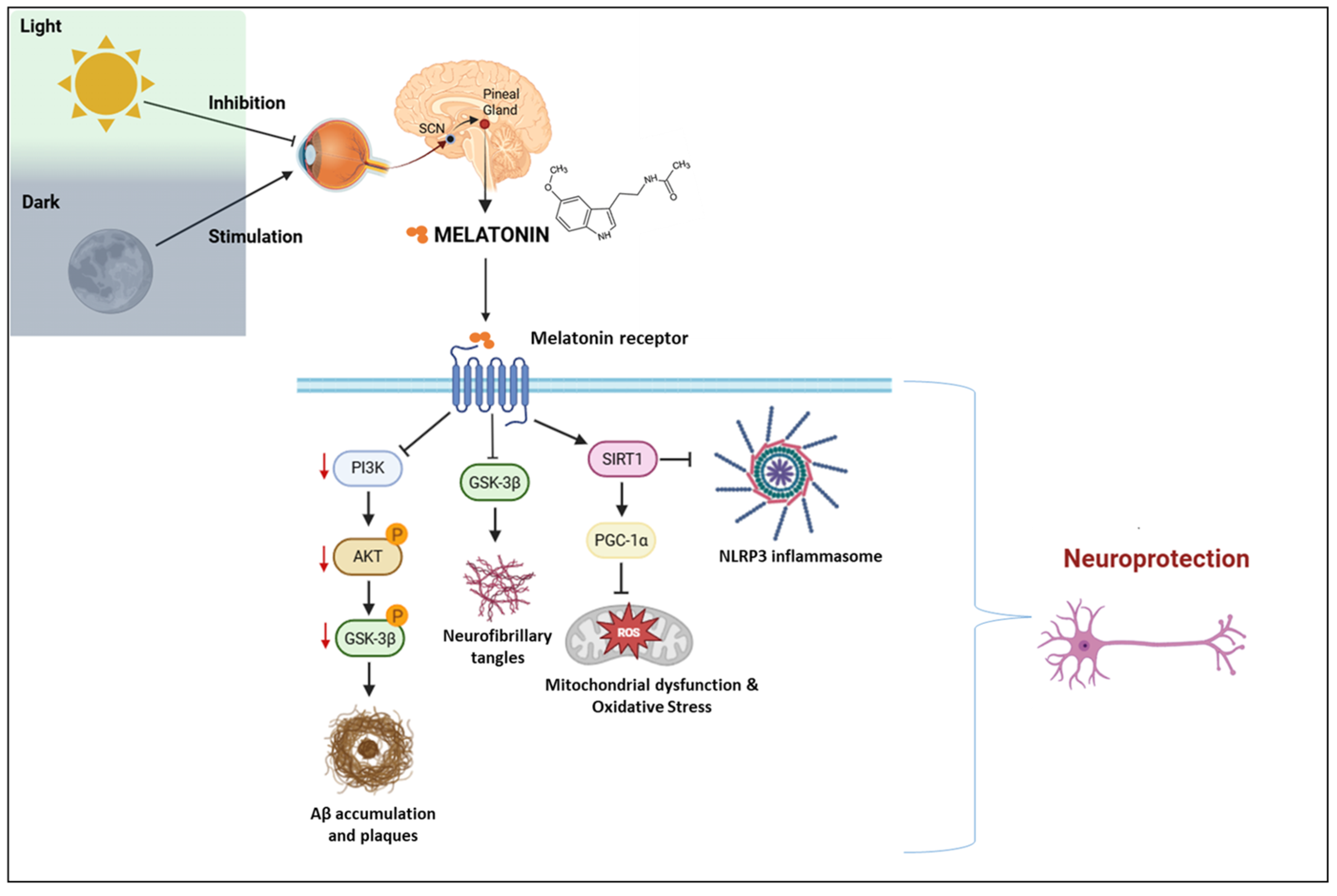 Molecules 30 01888 g003