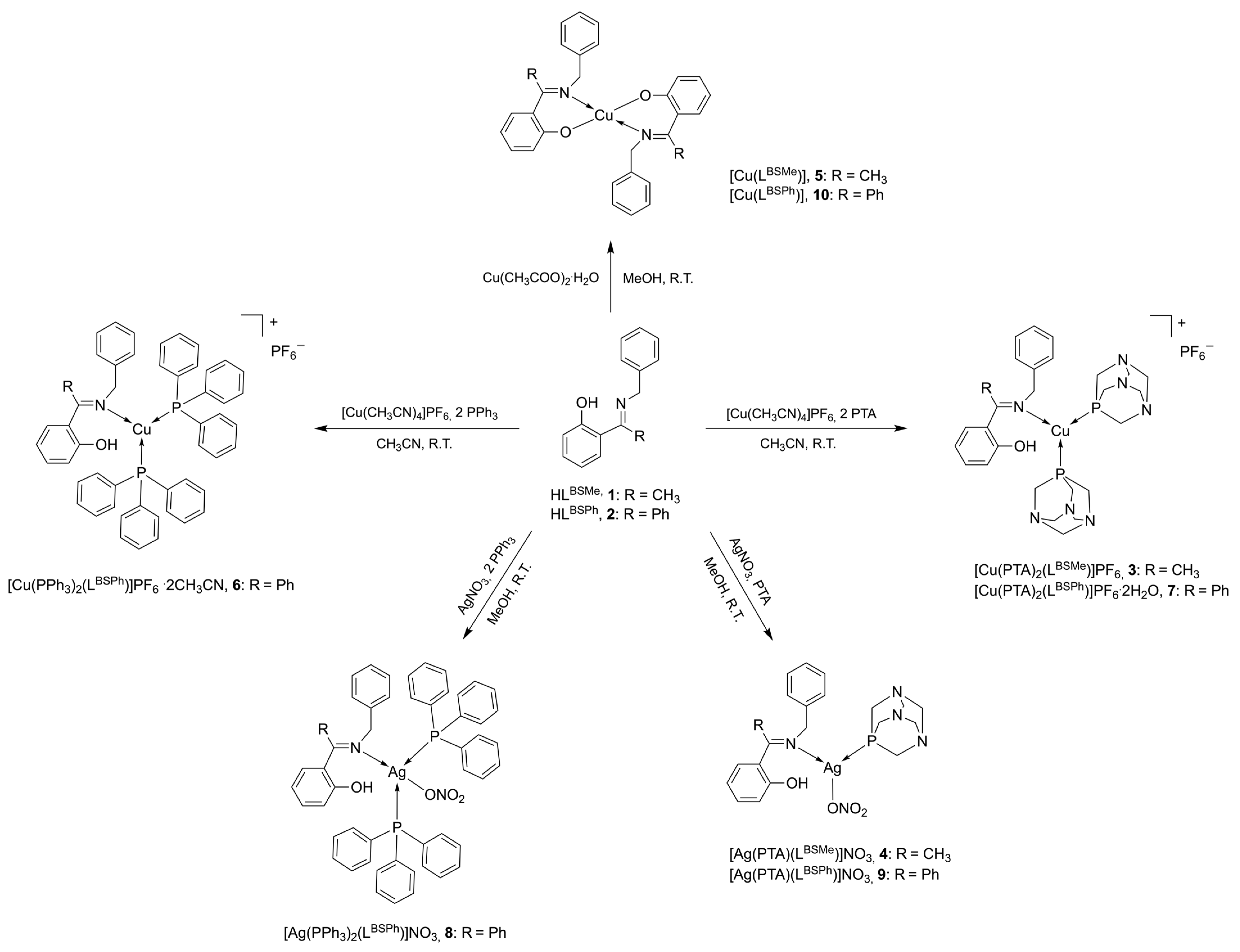 Molecules 30 01893 sch003 Molecules 30 01893 sch003