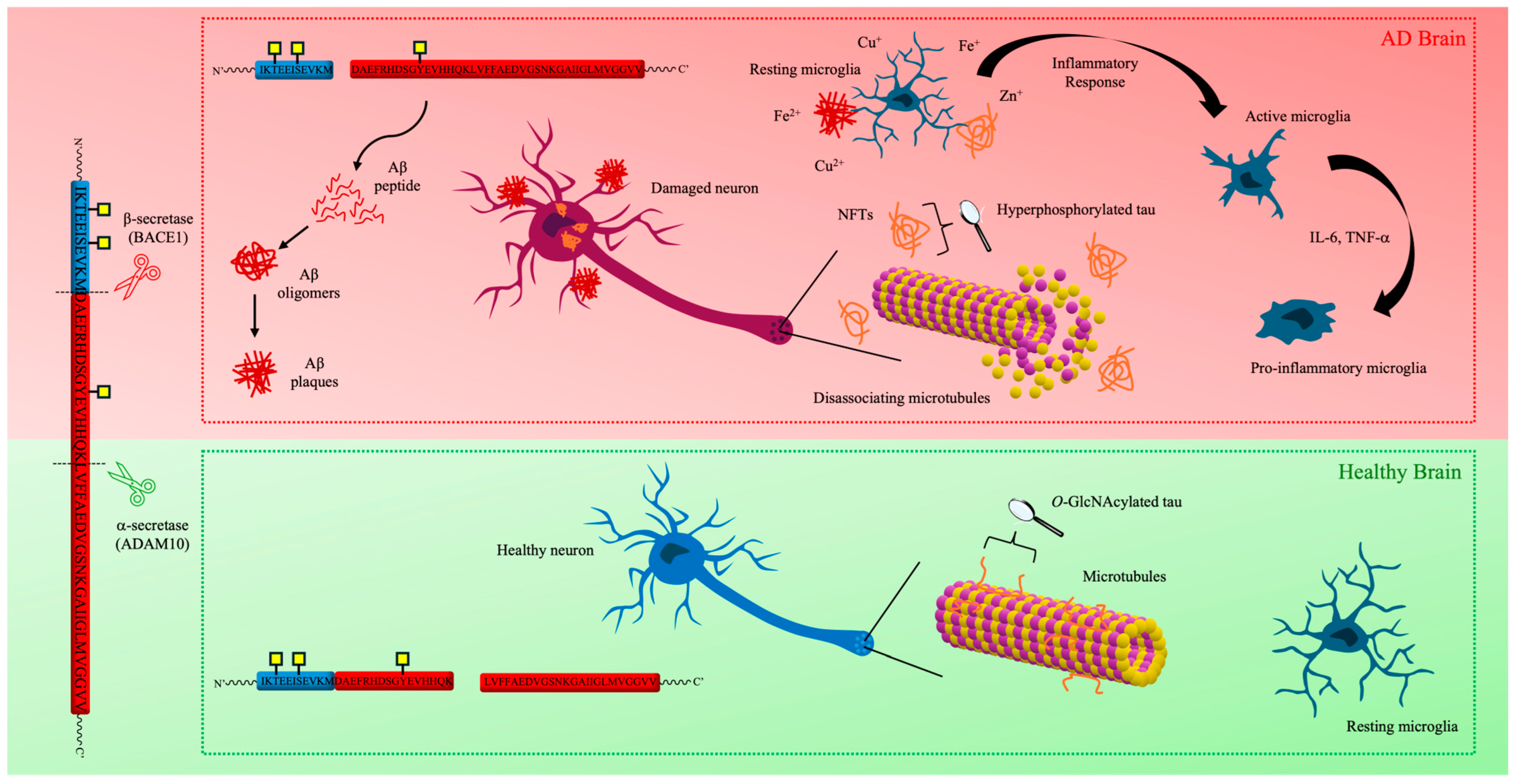 Molecules 30 01895 g001