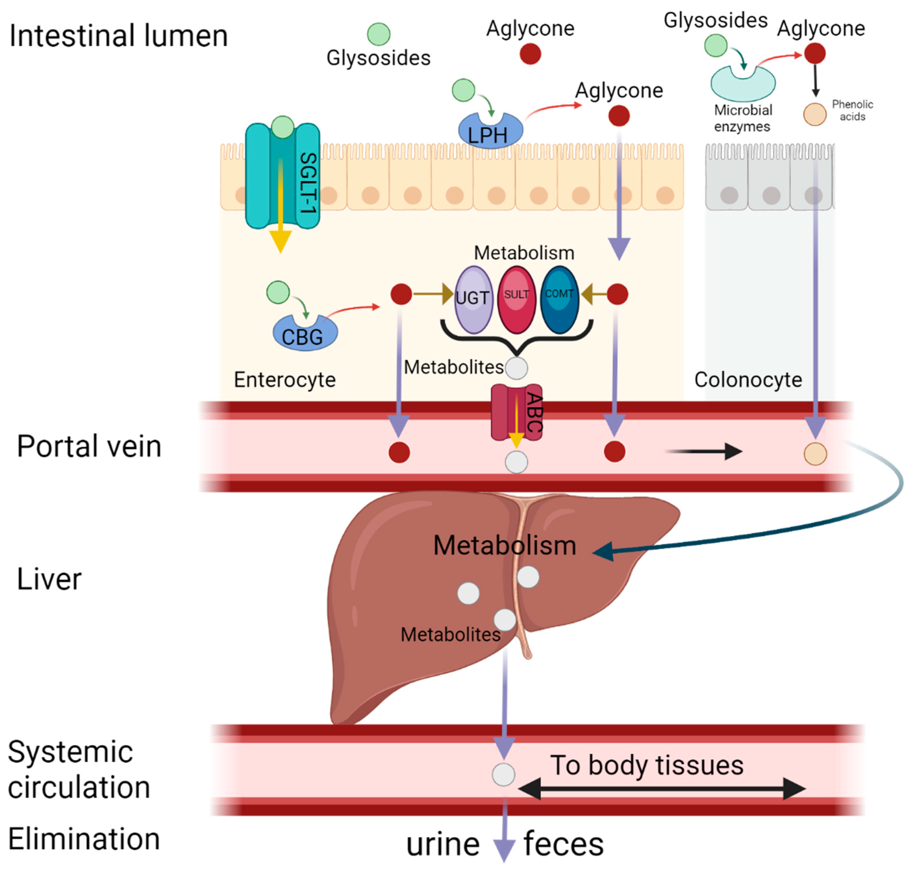 Molecules 30 01913 g002