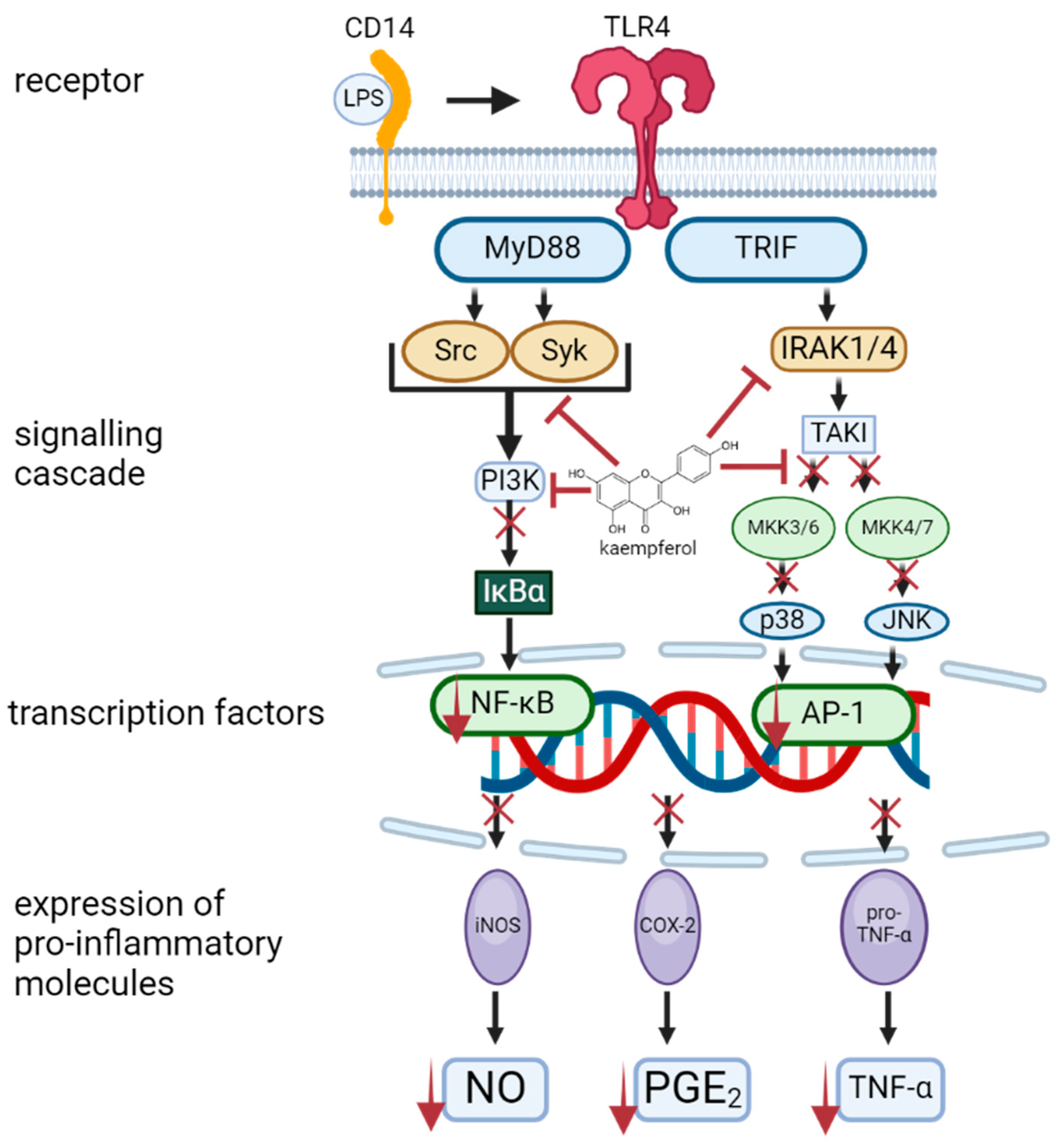 Molecules 30 01913 g004