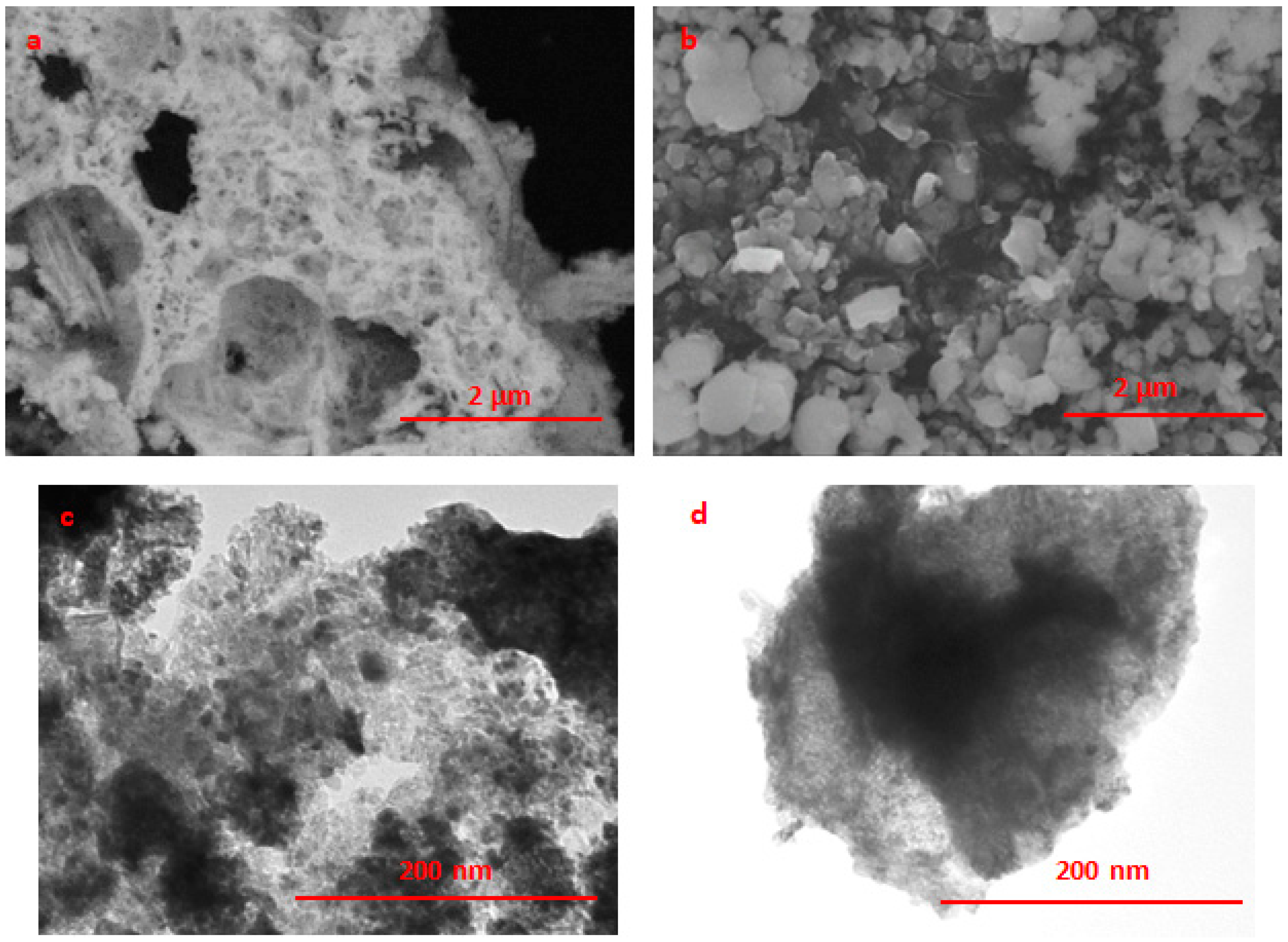 Molecules 30 01926 g003