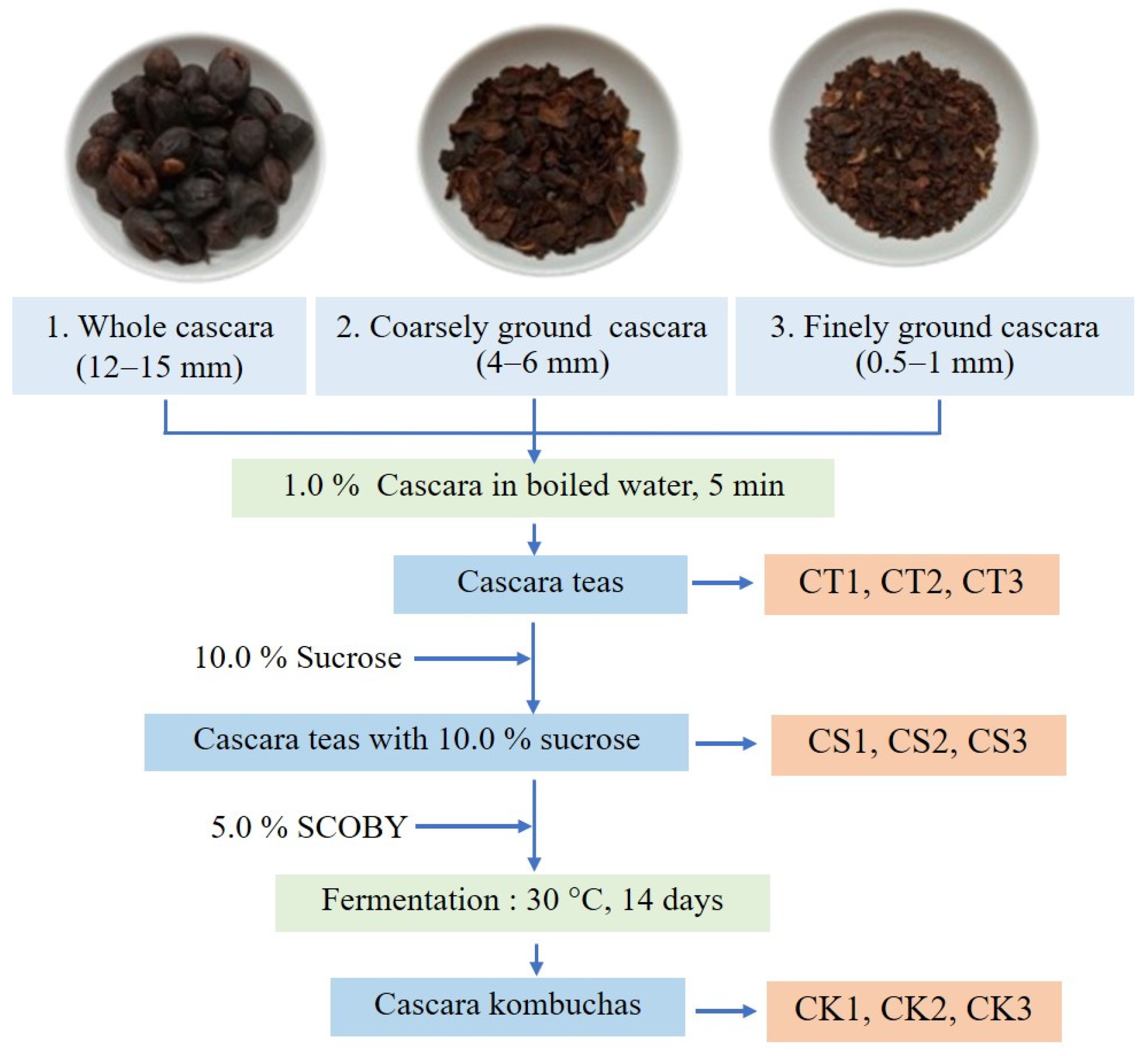 Molecules 30 01934 g001 Molecules 30 01934 g001