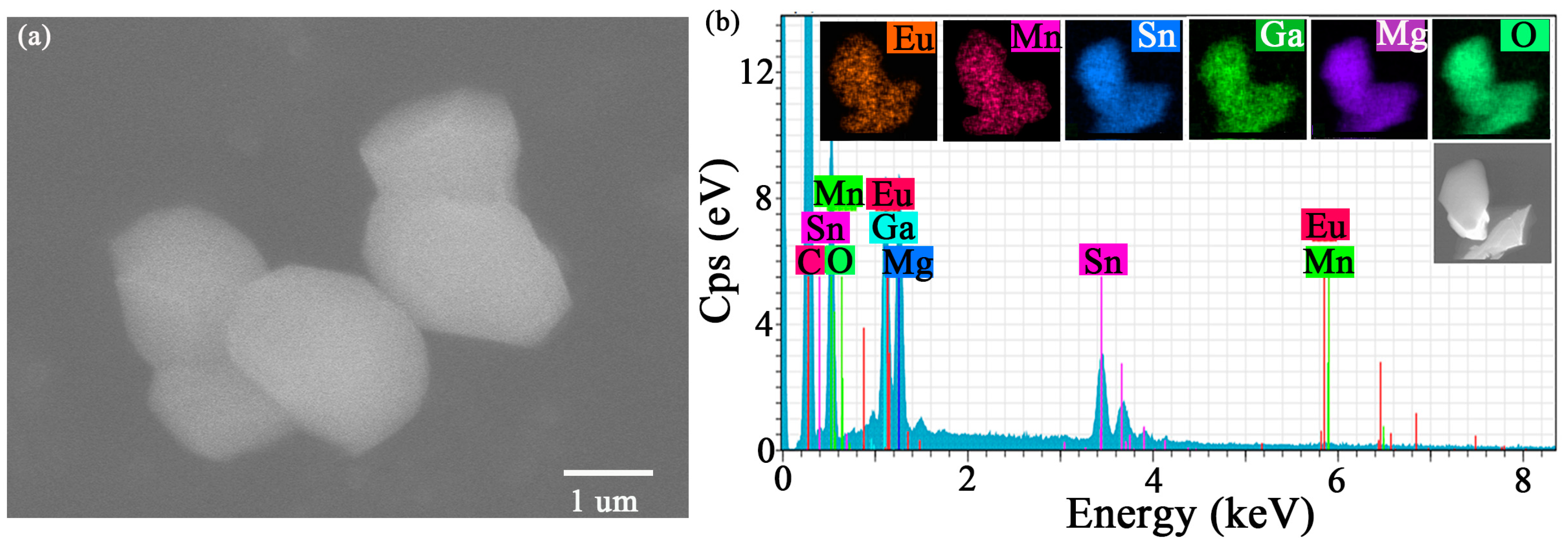 Molecules 30 01945 g003 Molecules 30 01945 g003