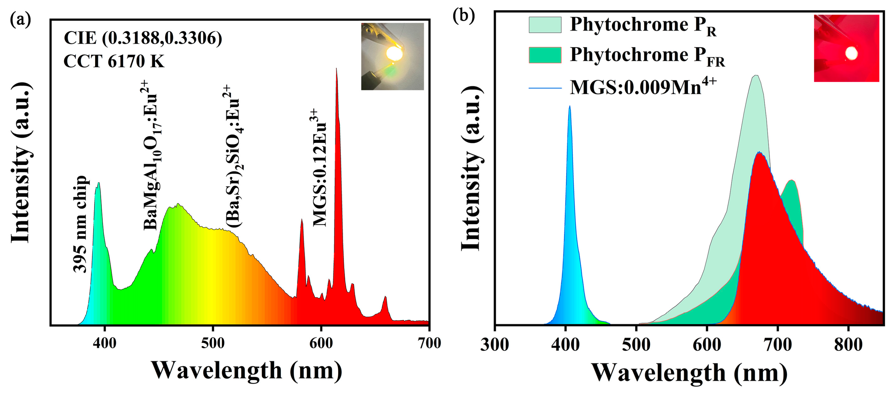 Molecules 30 01945 g012 Molecules 30 01945 g012