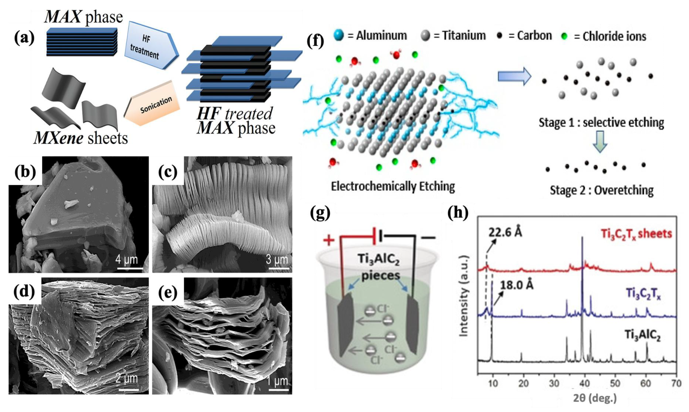 Molecules 30 01955 g002