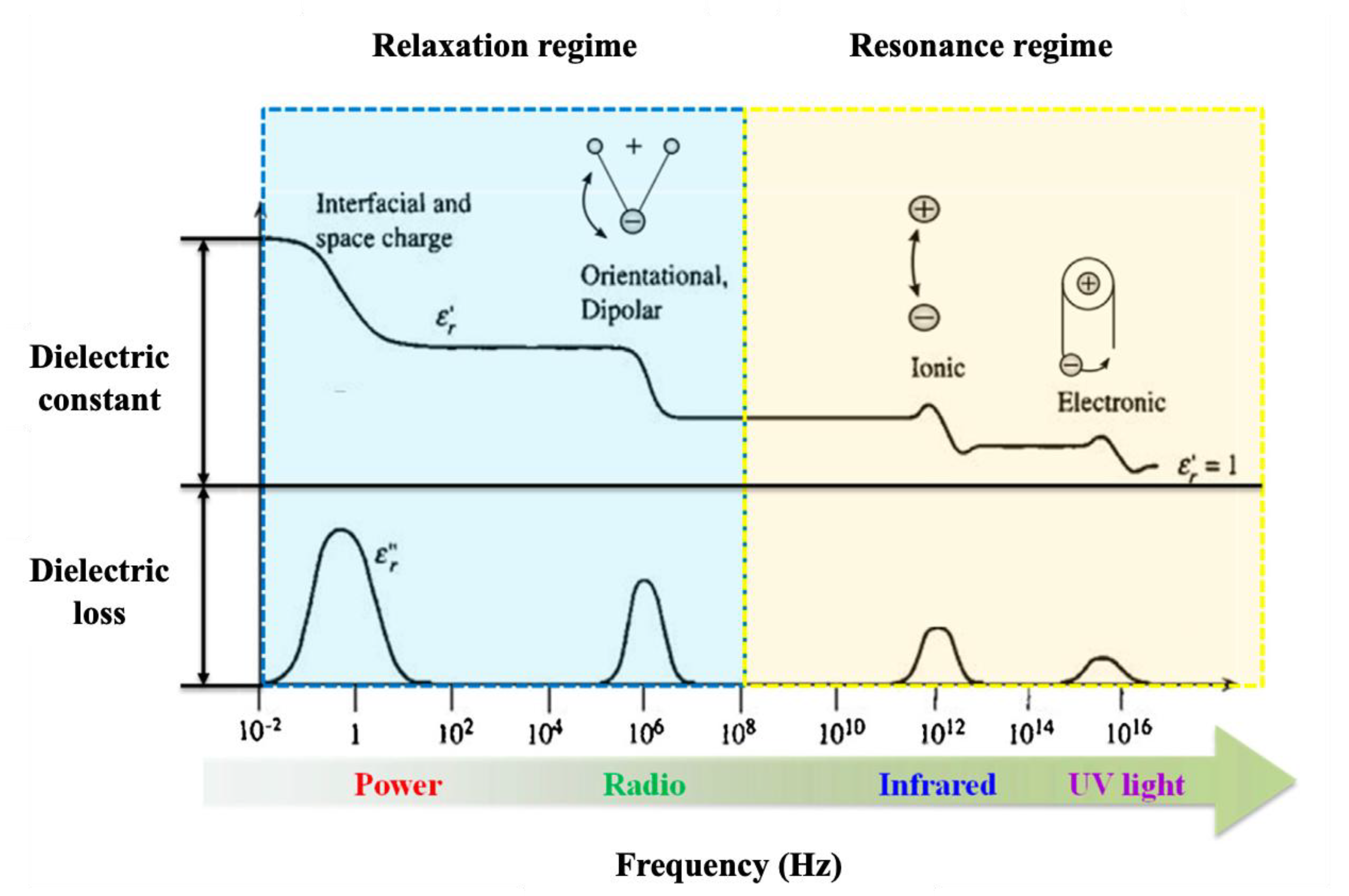 Molecules 30 01955 g005