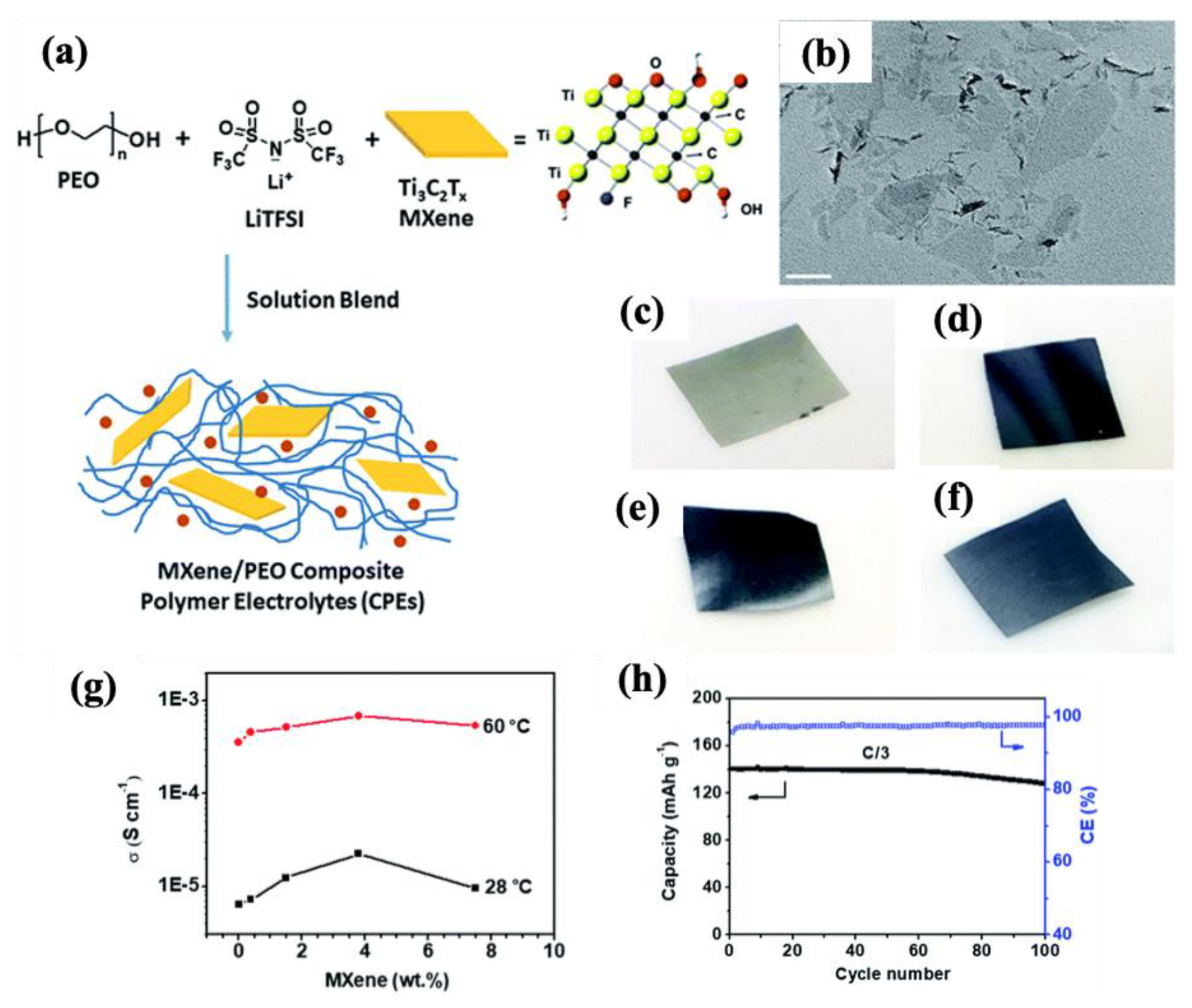 Molecules 30 01955 g012