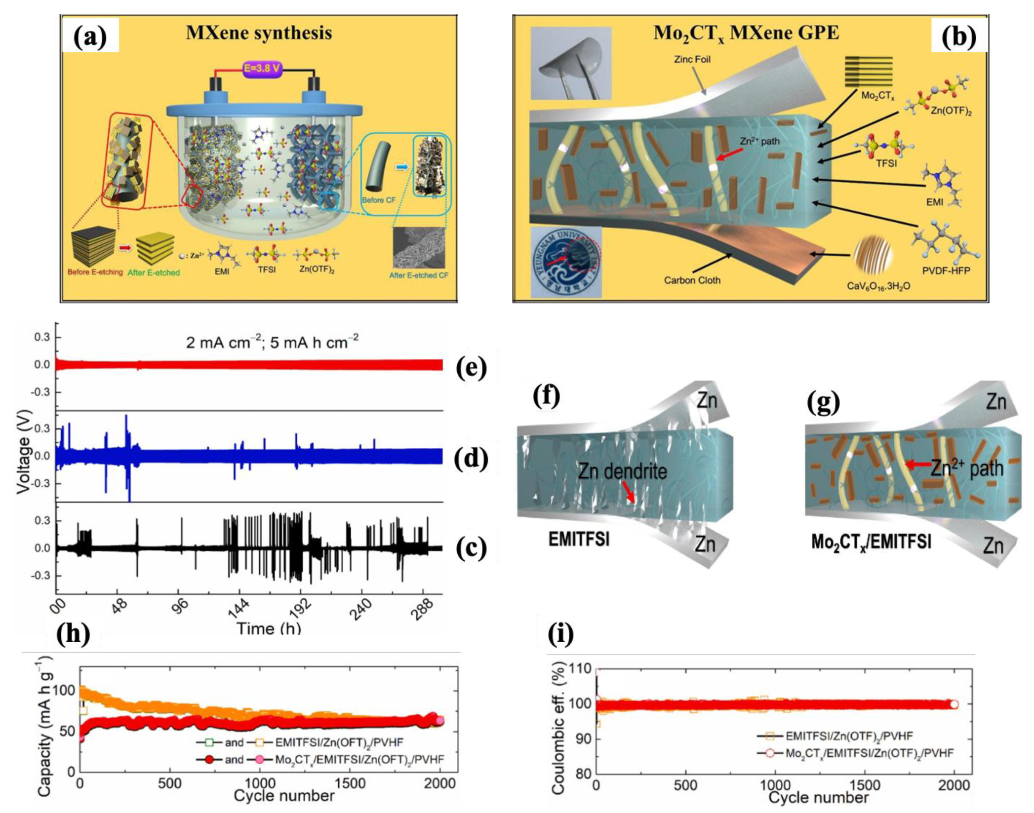 Molecules 30 01955 g013