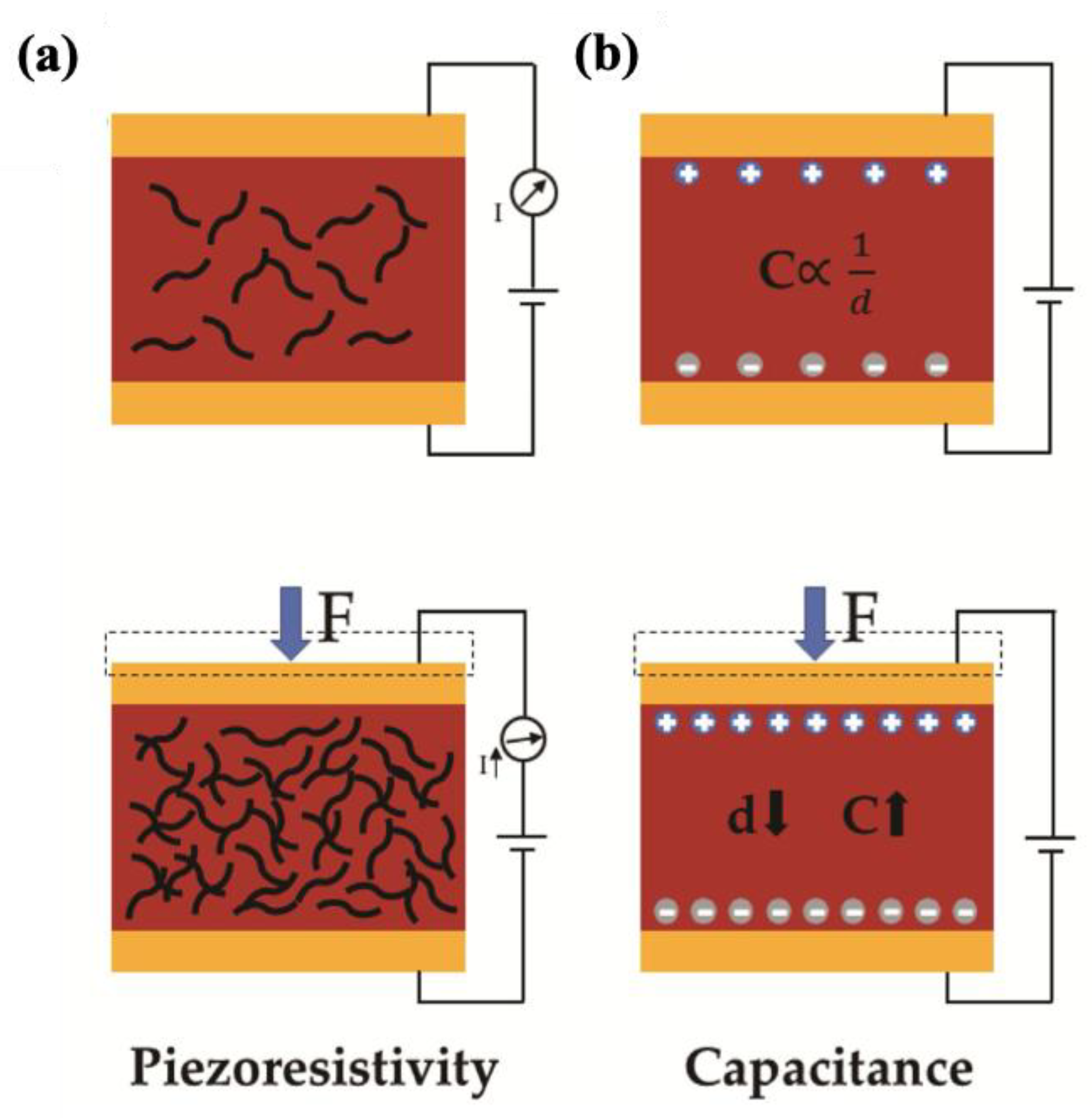 Molecules 30 01955 g021
