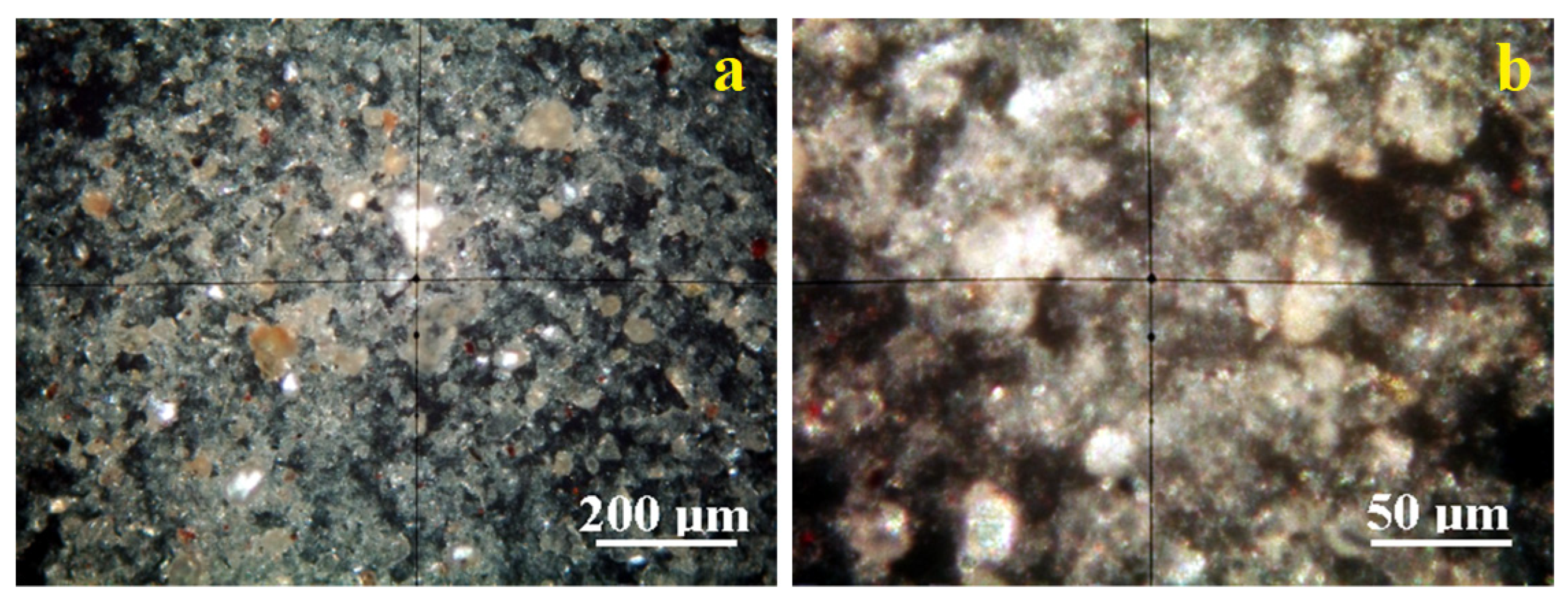 Molecules 30 01959 g006
