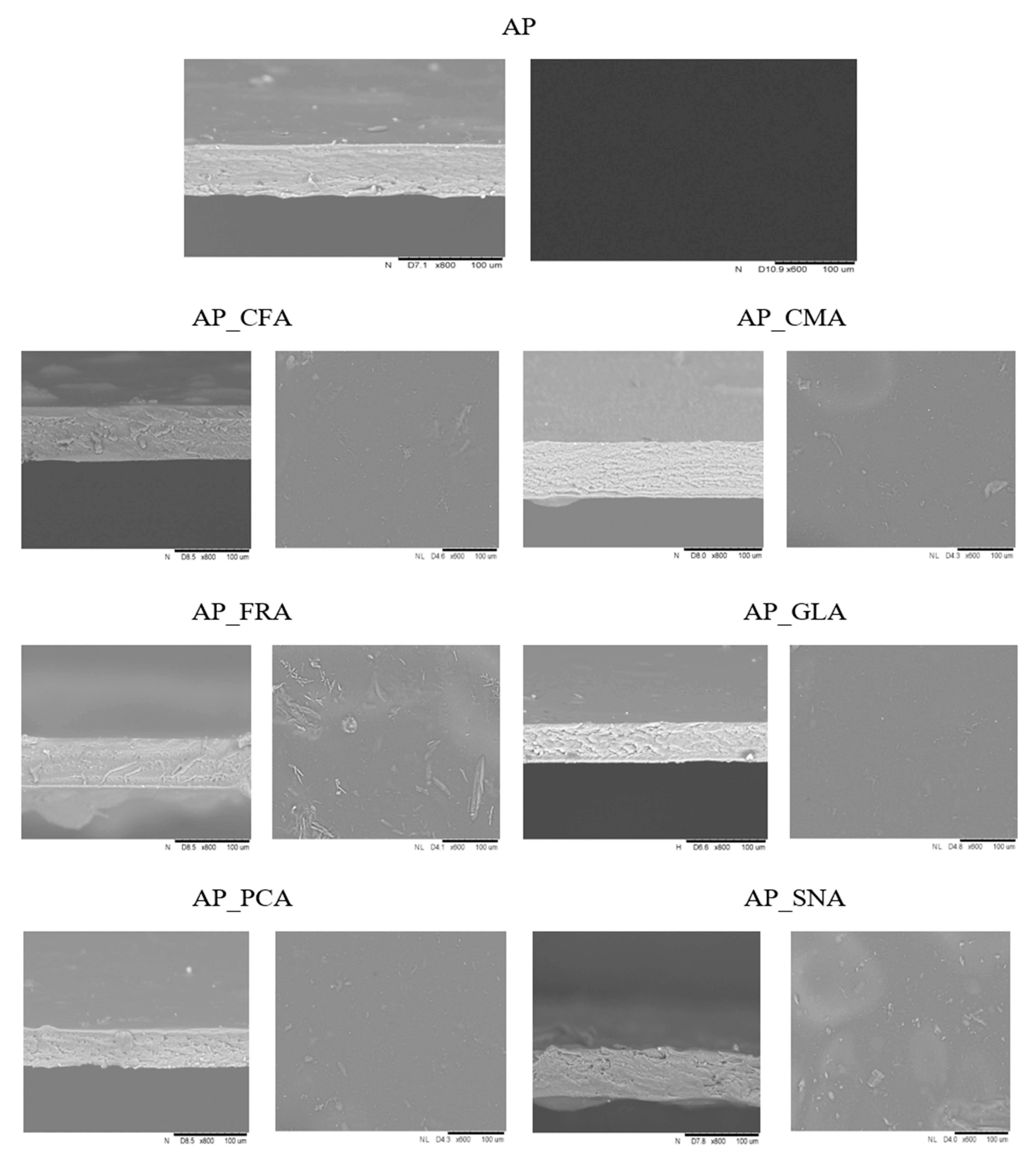 Molecules 30 01960 g004 Molecules 30 01960 g004