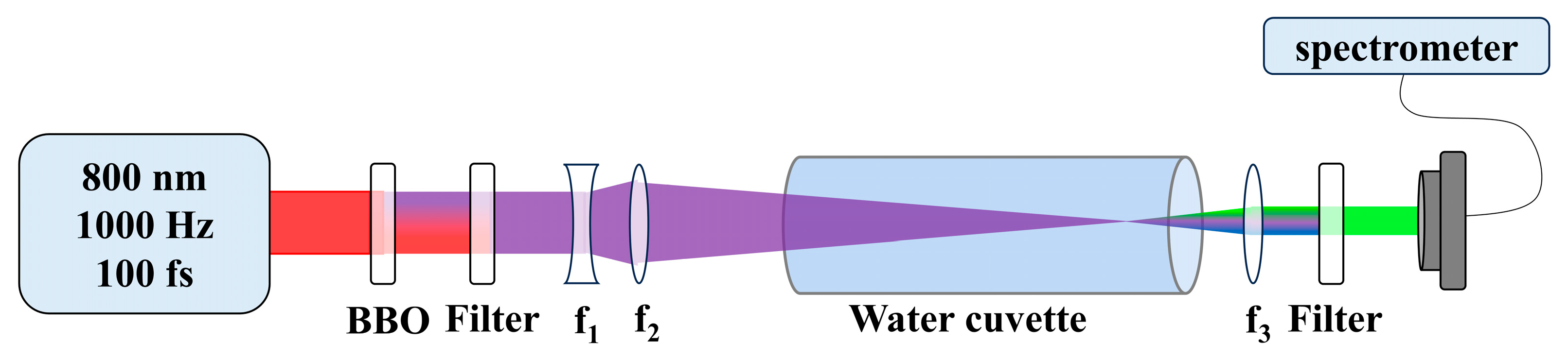 Molecules 30 01969 g001