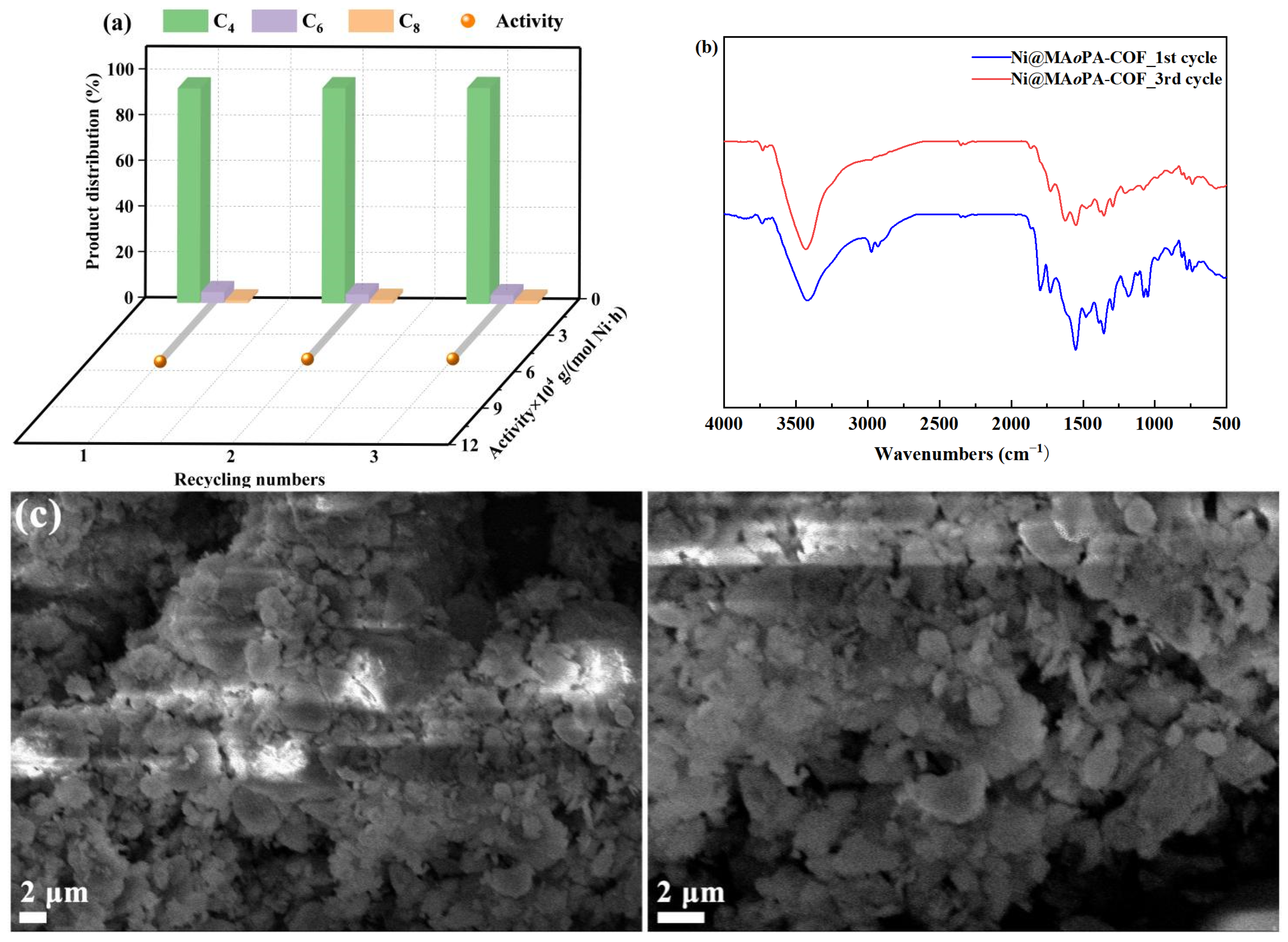 Molecules 30 01977 g010
