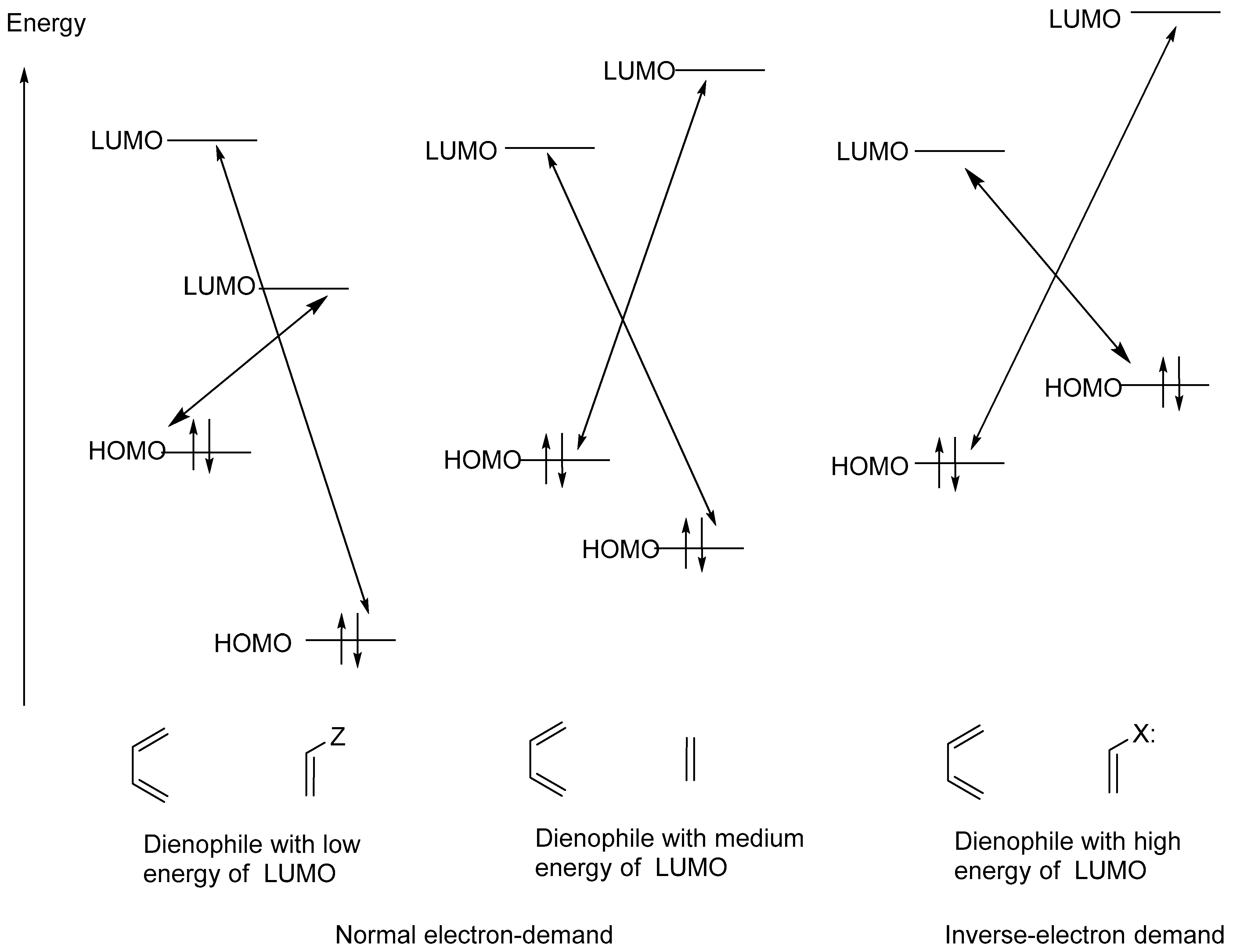 Molecules 30 01978 g001