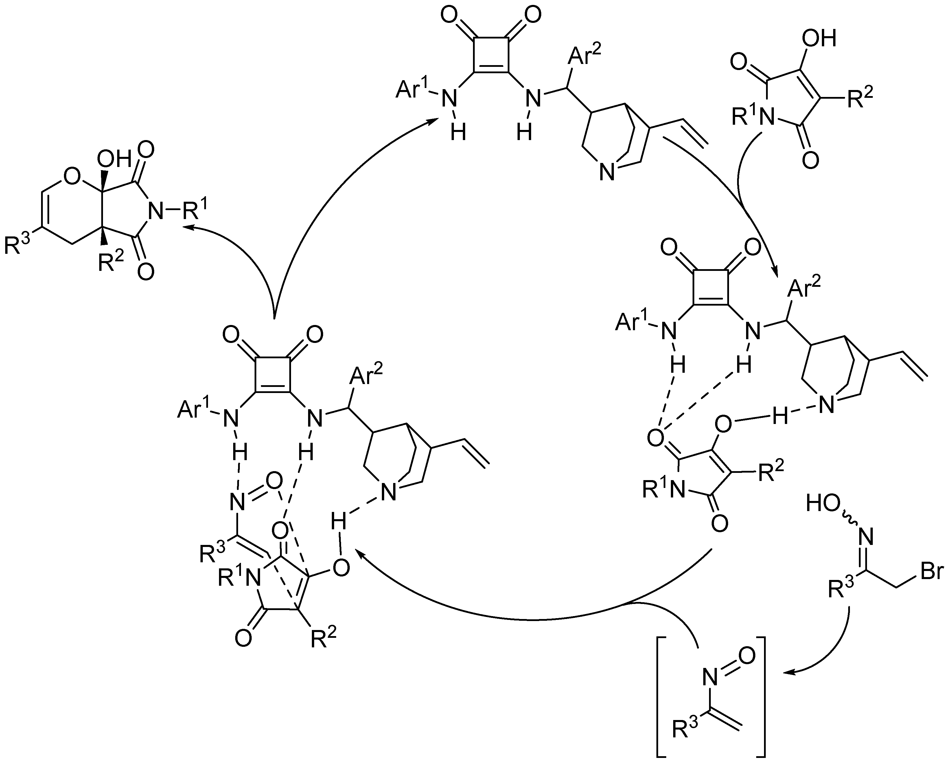 Molecules 30 01978 g013