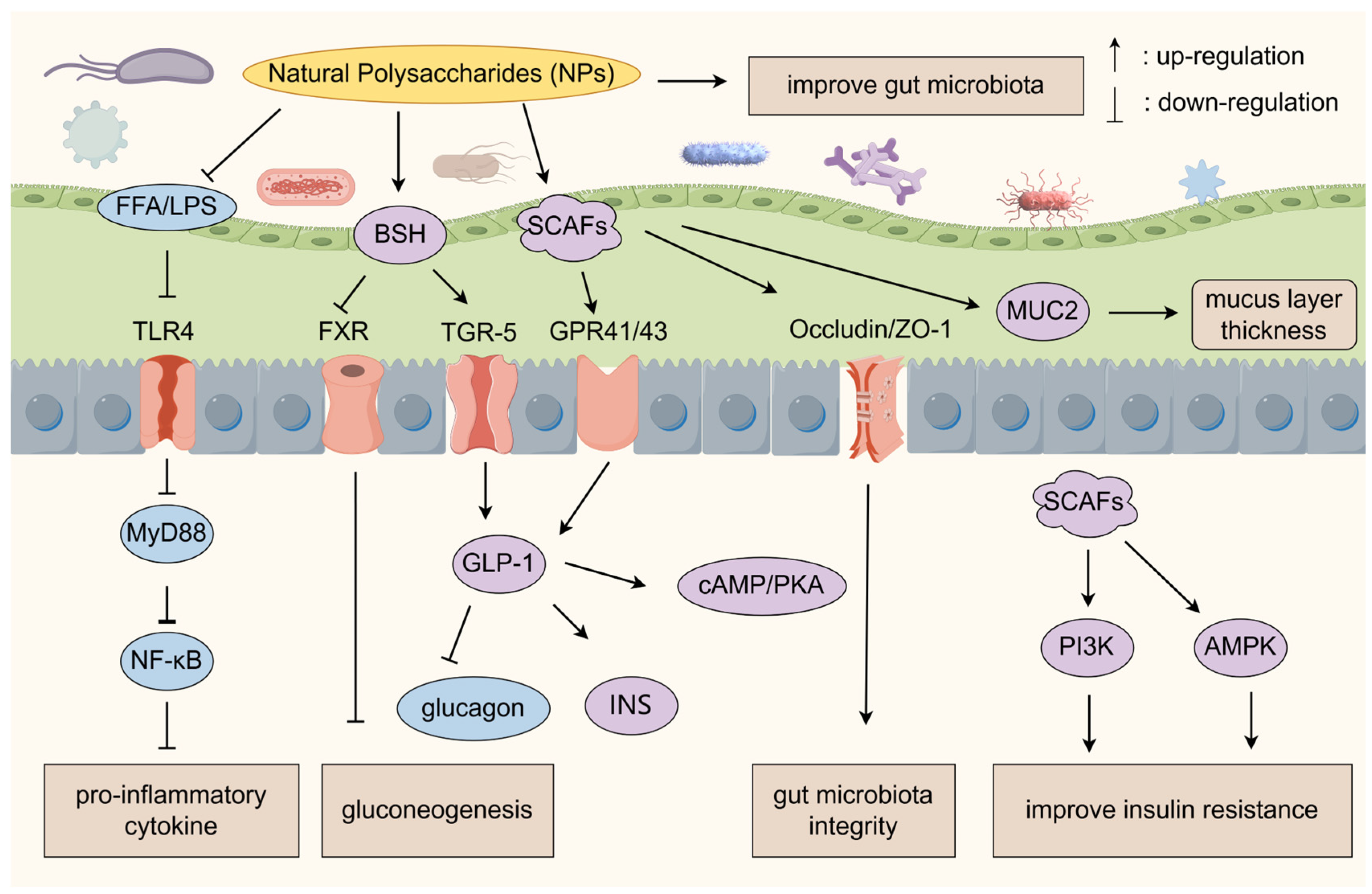 Molecules 30 01980 g001