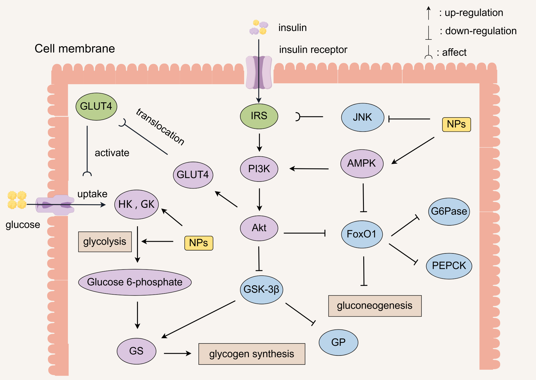 Molecules 30 01980 g002