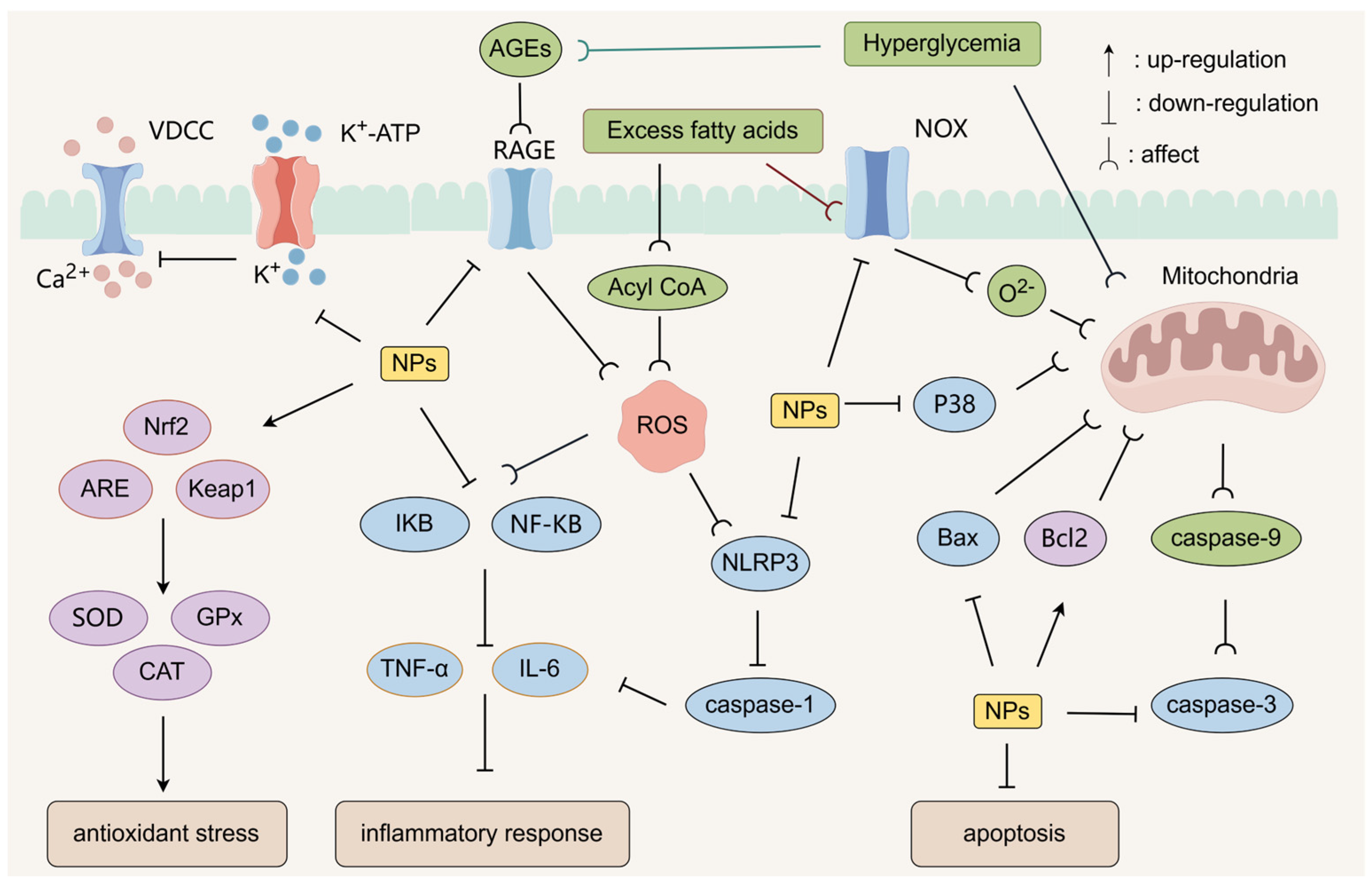 Molecules 30 01980 g003