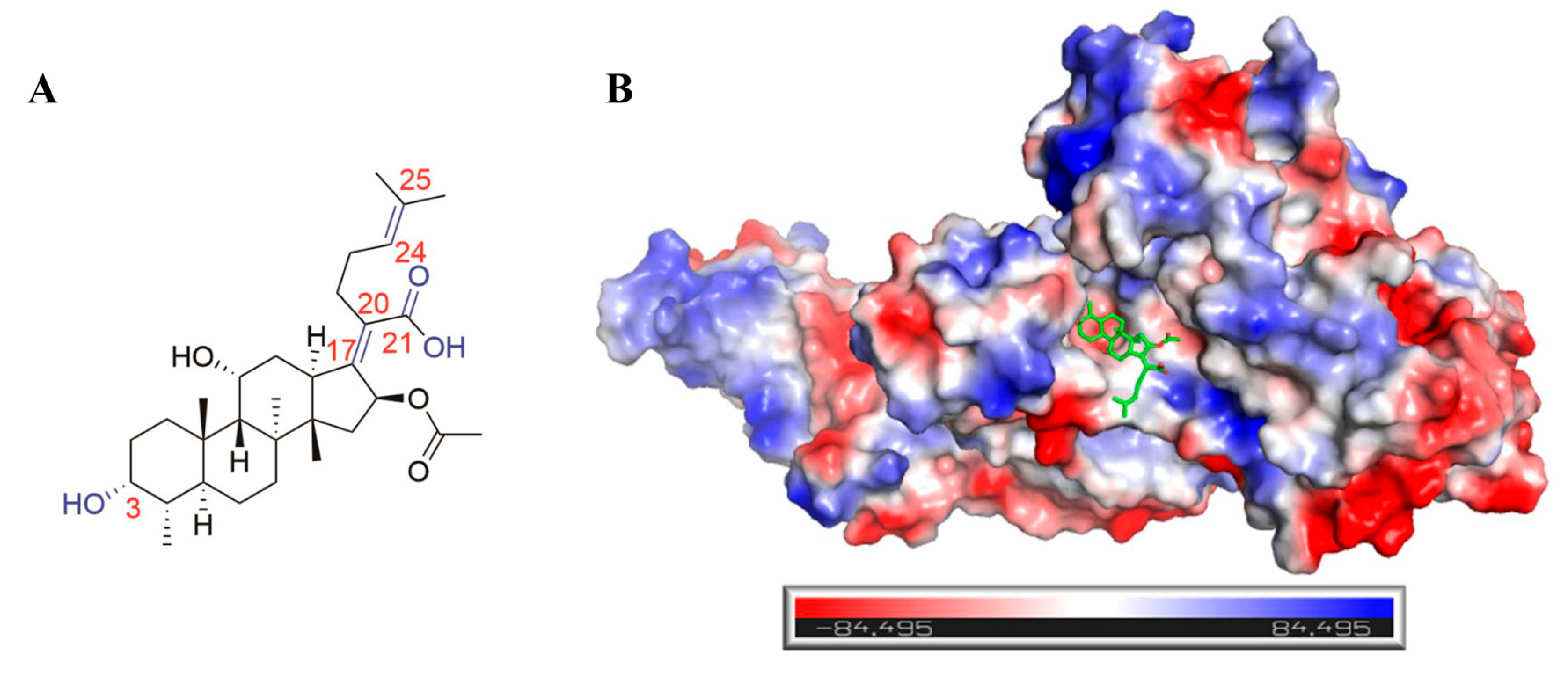 Molecules 30 01983 g001