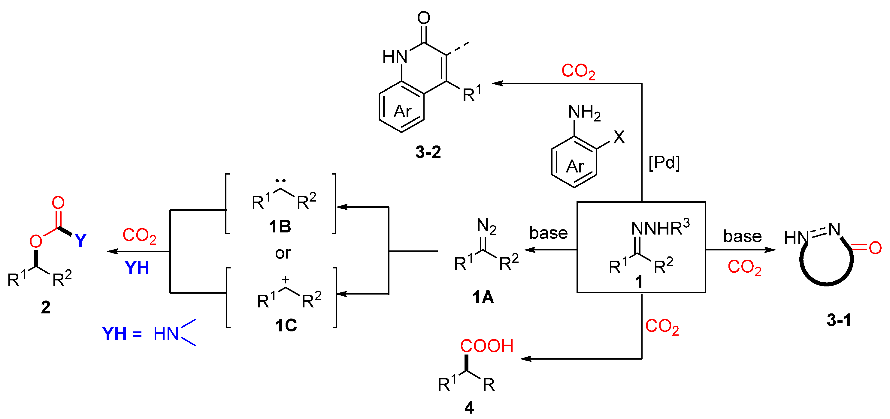 Molecules 30 01987 g001