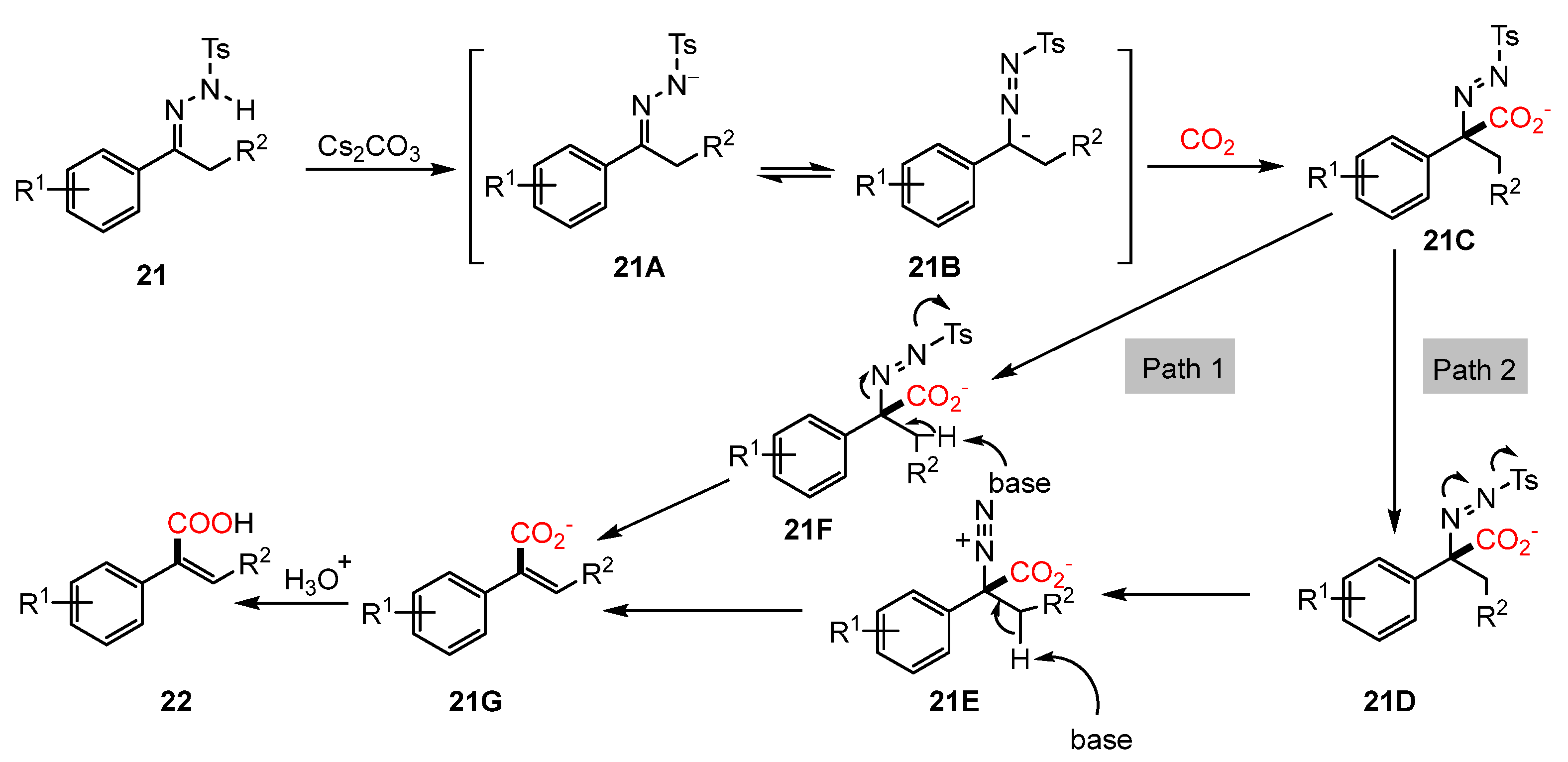 Molecules 30 01987 g011
