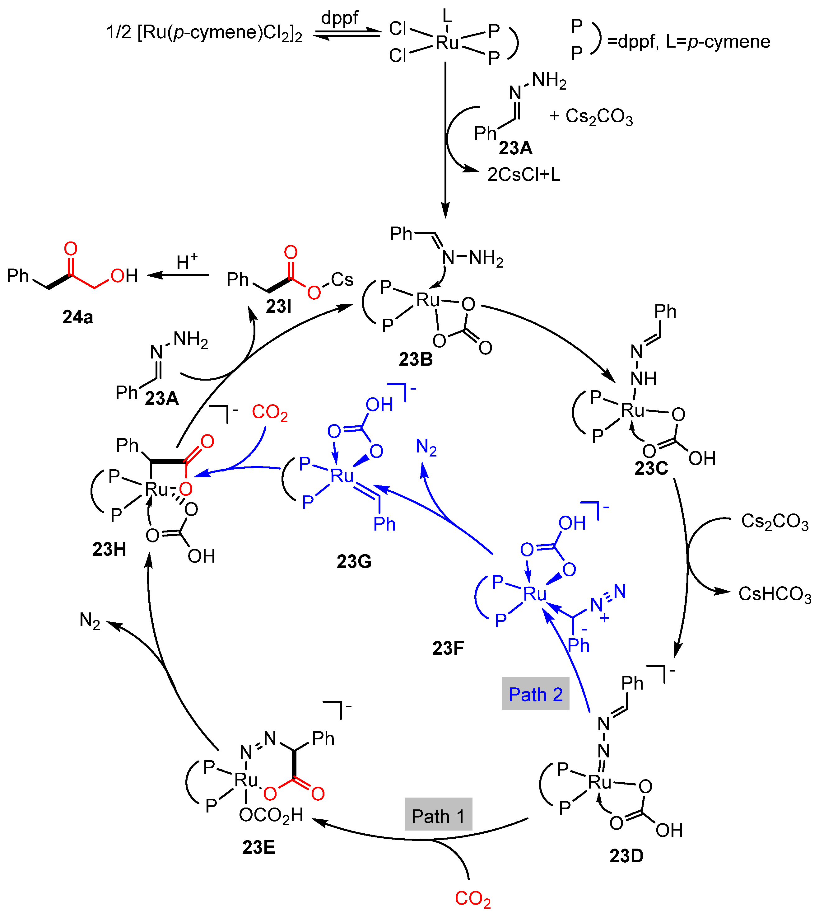 Molecules 30 01987 g013