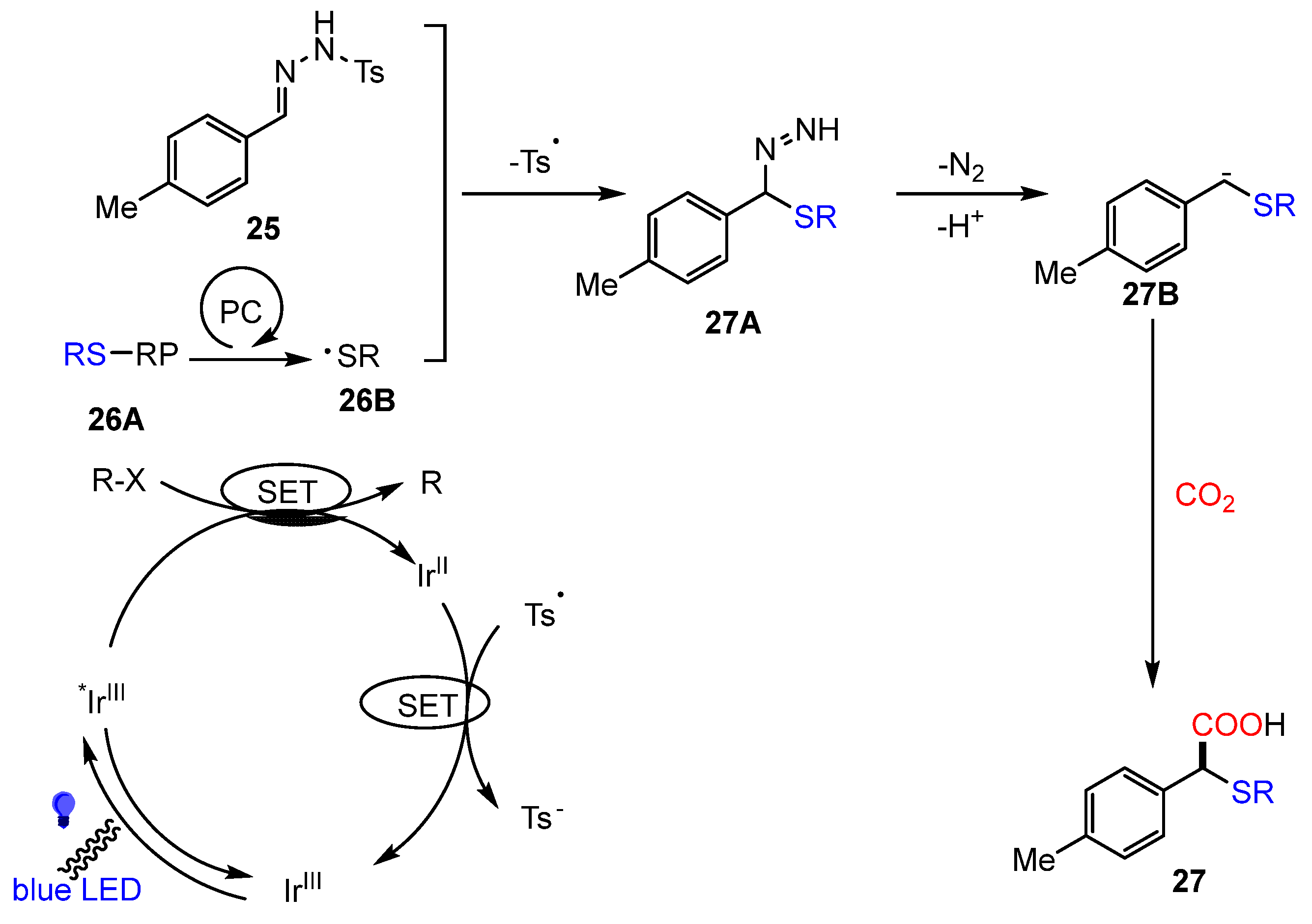 Molecules 30 01987 g015