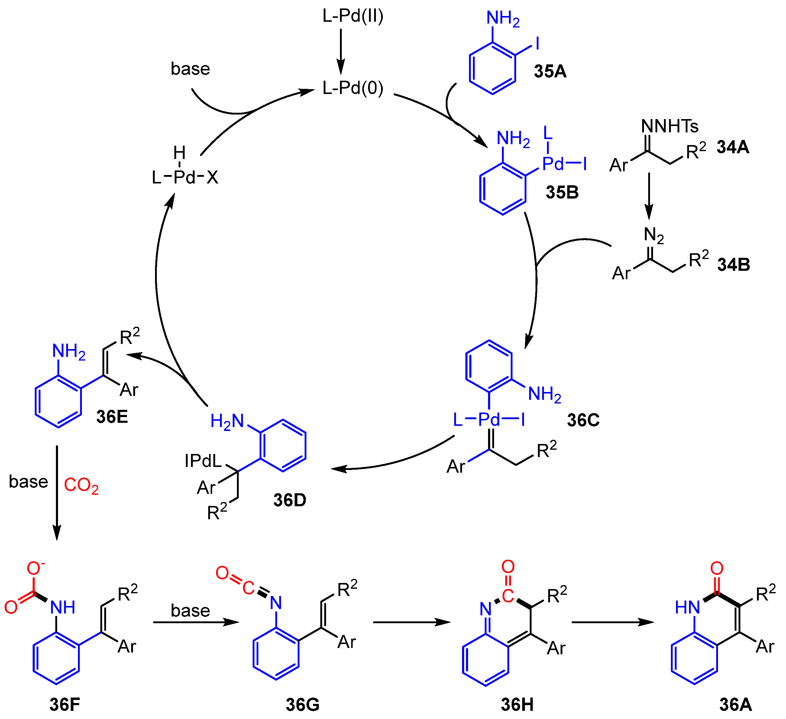 Molecules 30 01987 g023