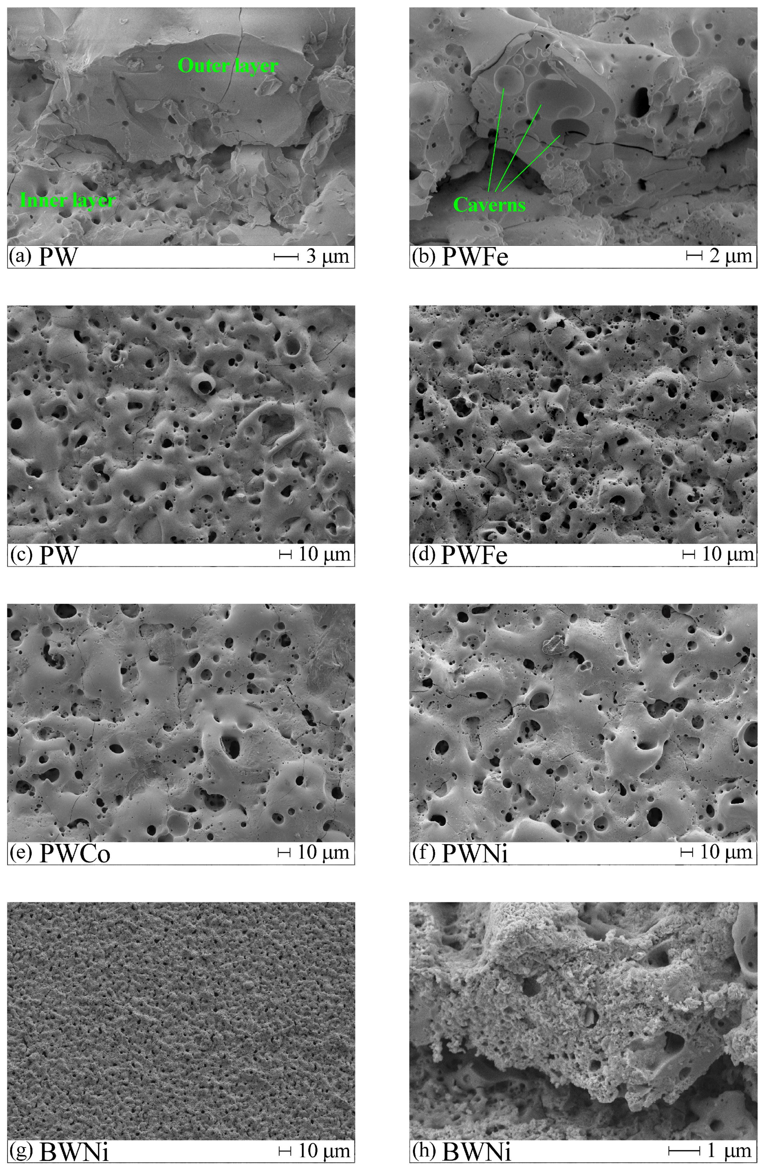 Molecules 30 01998 g001