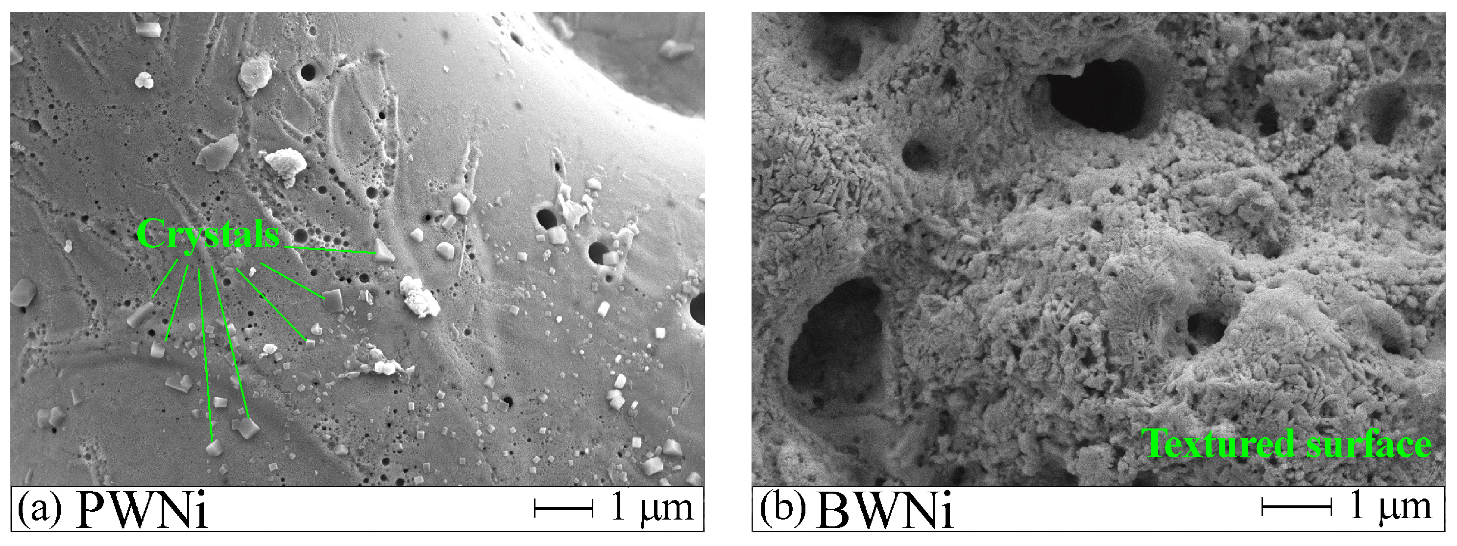 Molecules 30 01998 g002