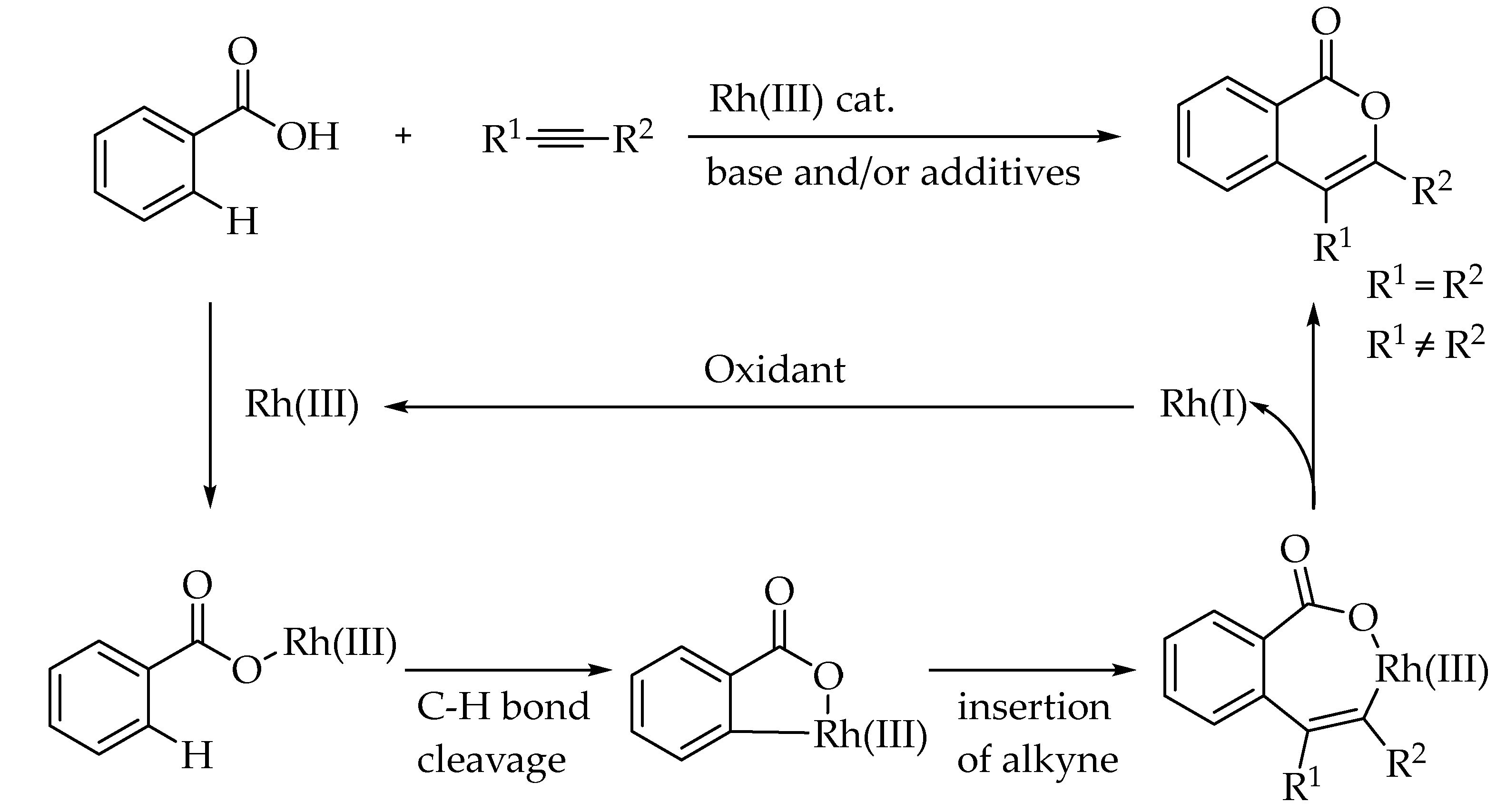 Molecules 30 01999 sch005