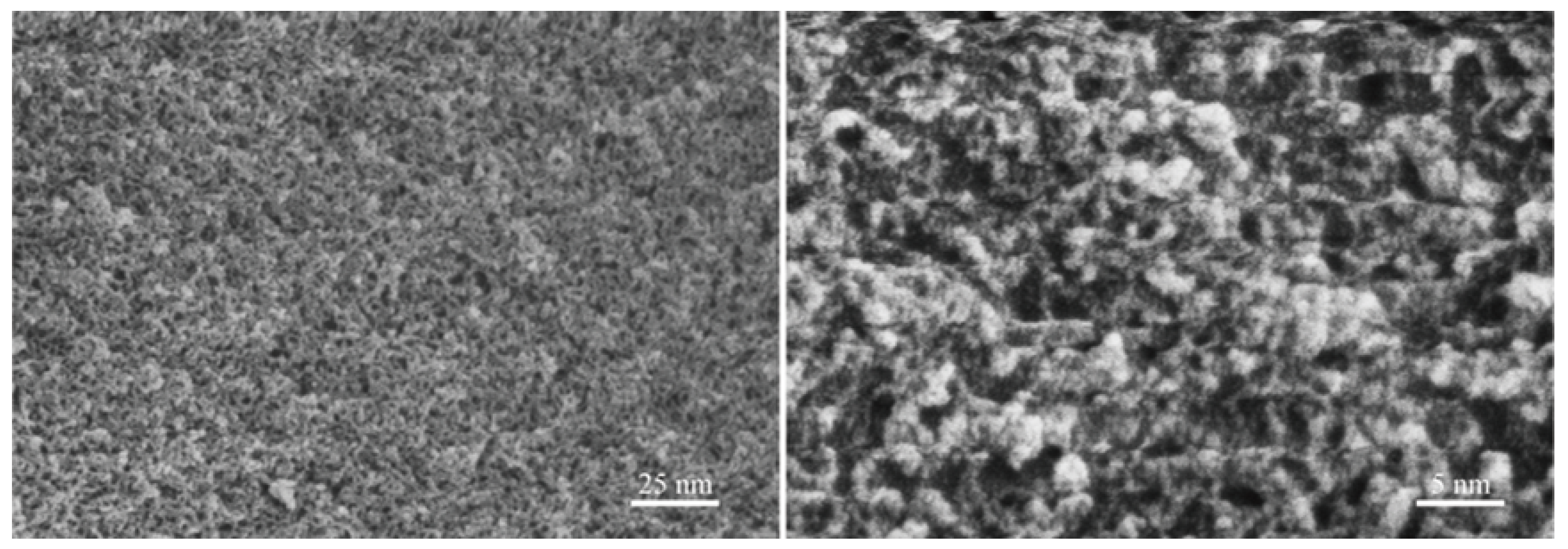 Molecules 30 02002 g006