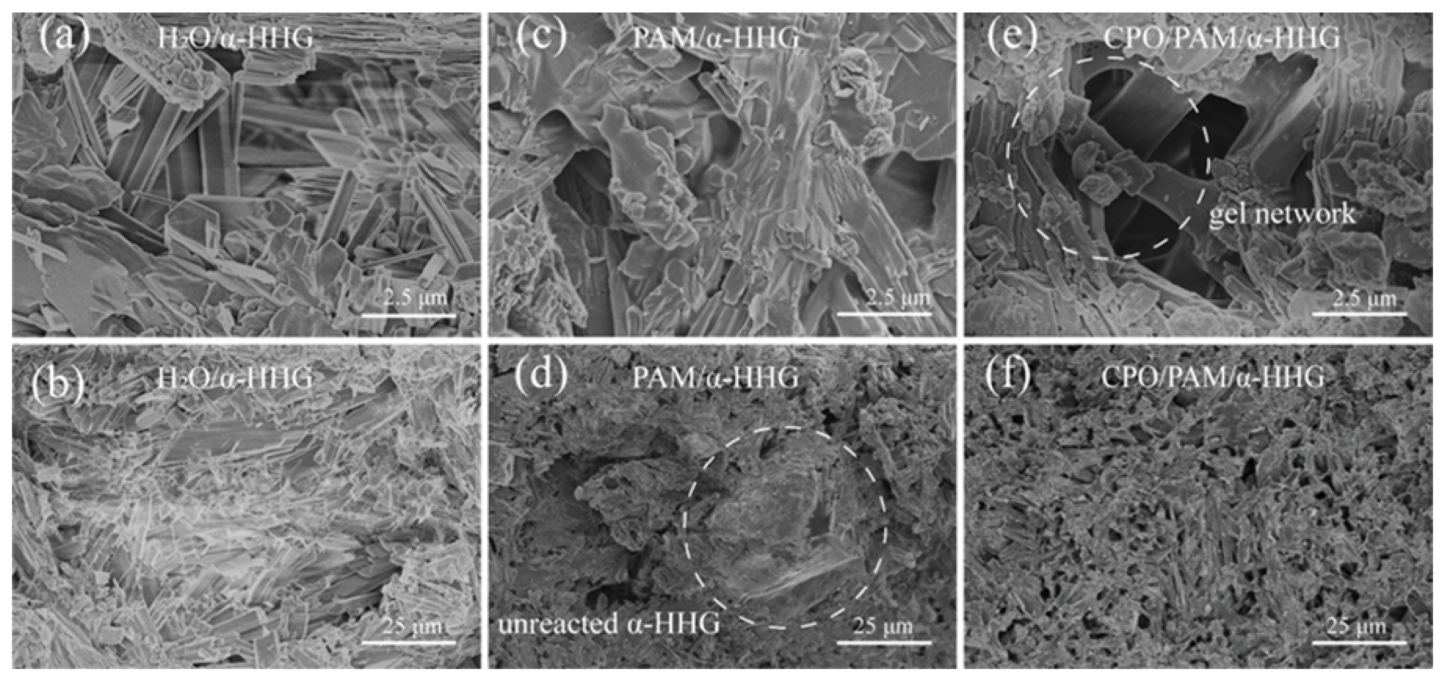 Molecules 30 02002 g007