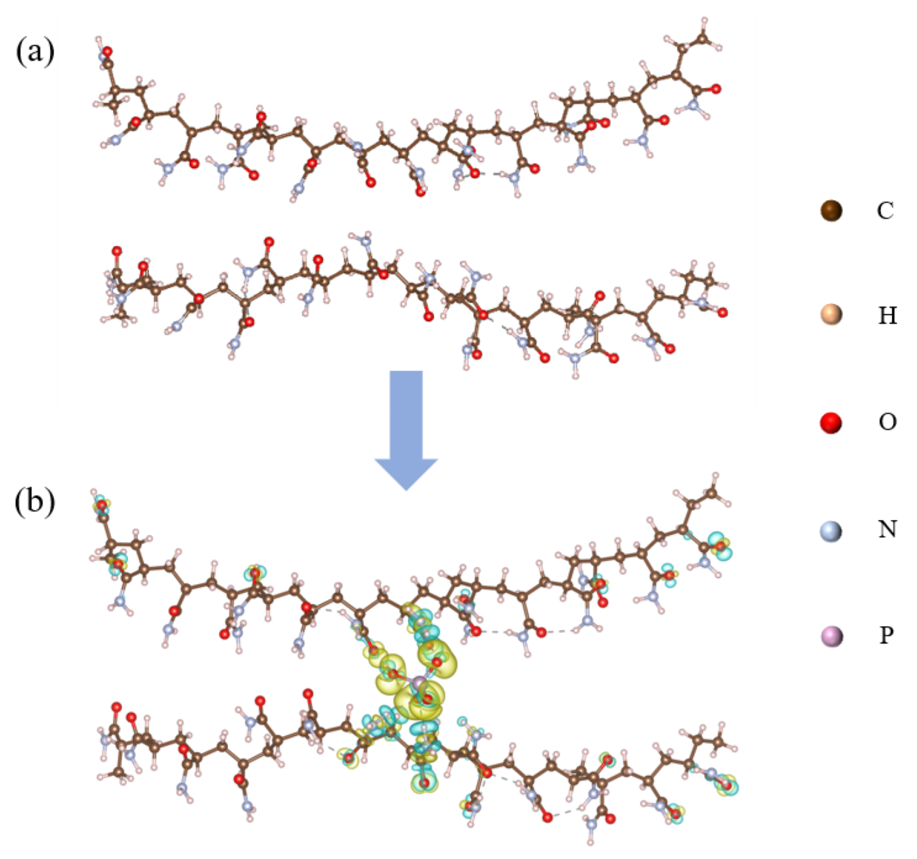 Molecules 30 02002 g009