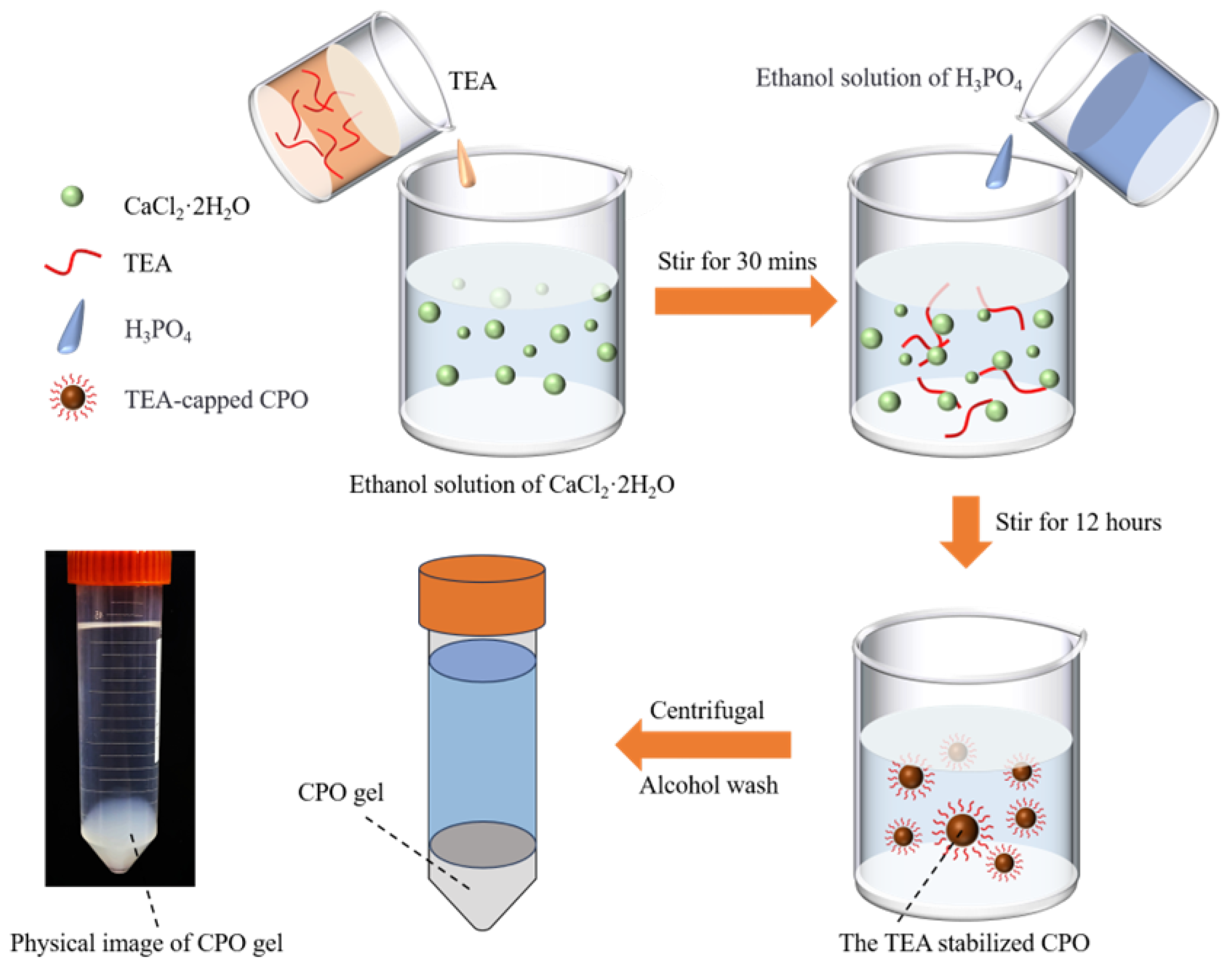 Molecules 30 02002 g010