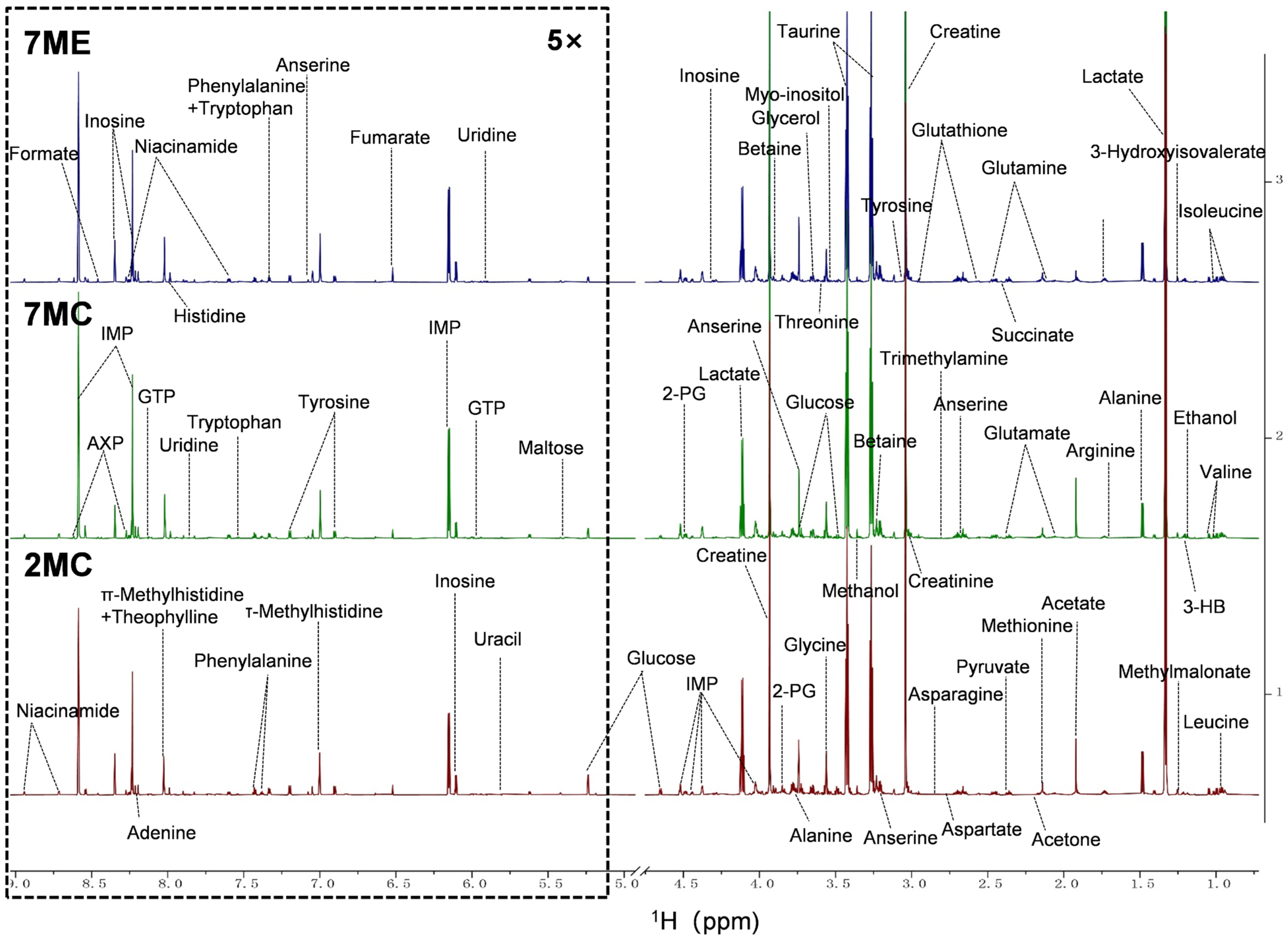 Molecules 30 02003 g003