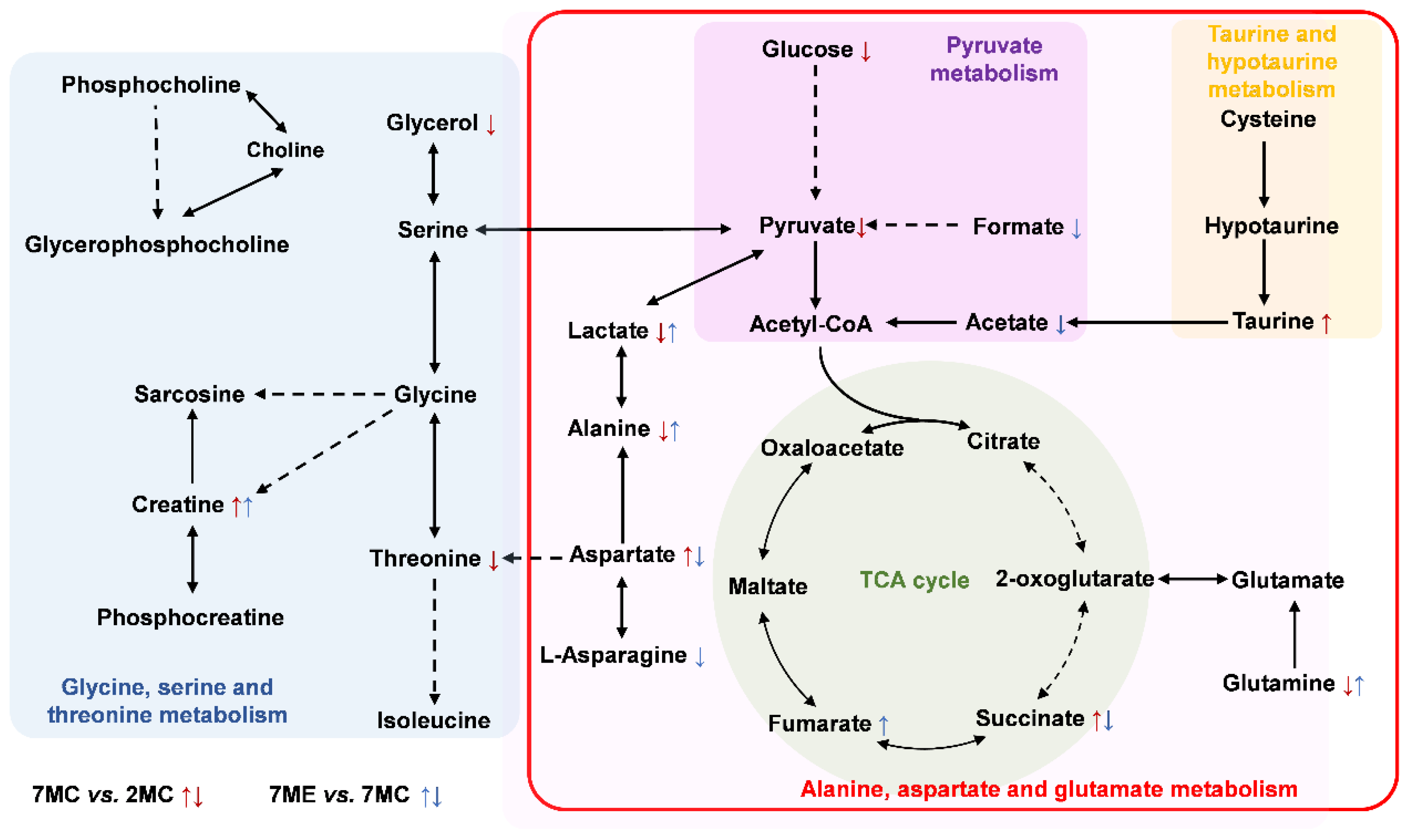 Molecules 30 02003 g007