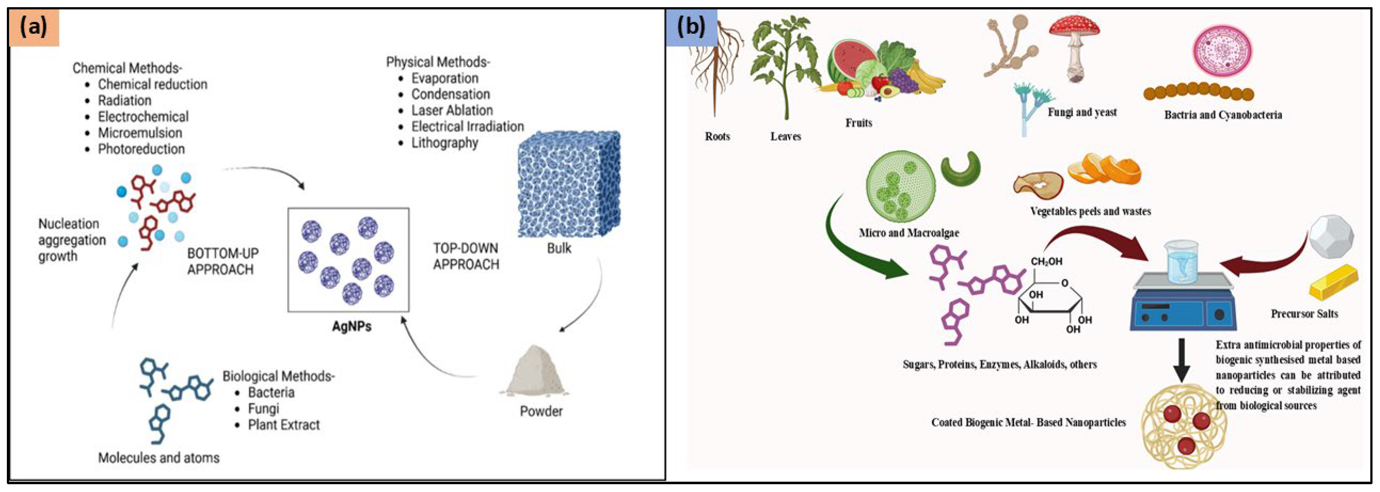 Molecules 30 02004 g001