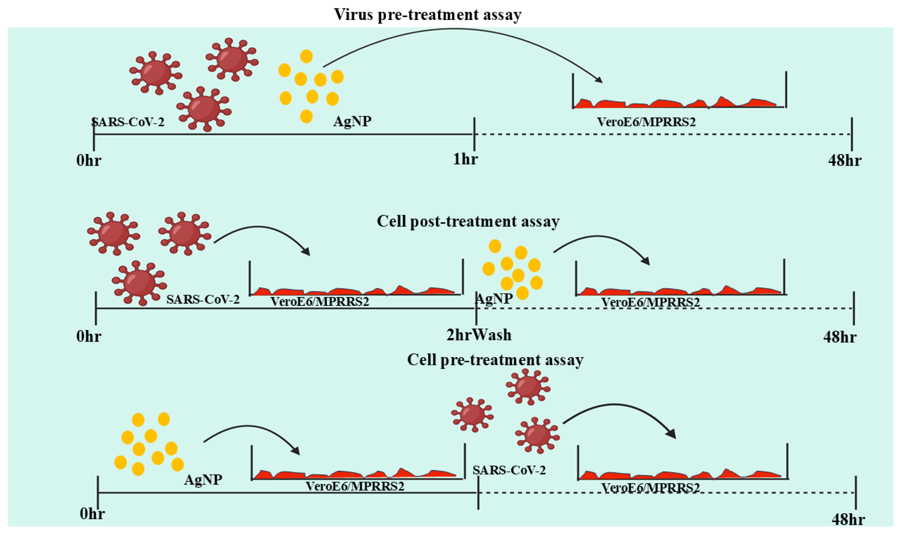 Molecules 30 02004 g005
