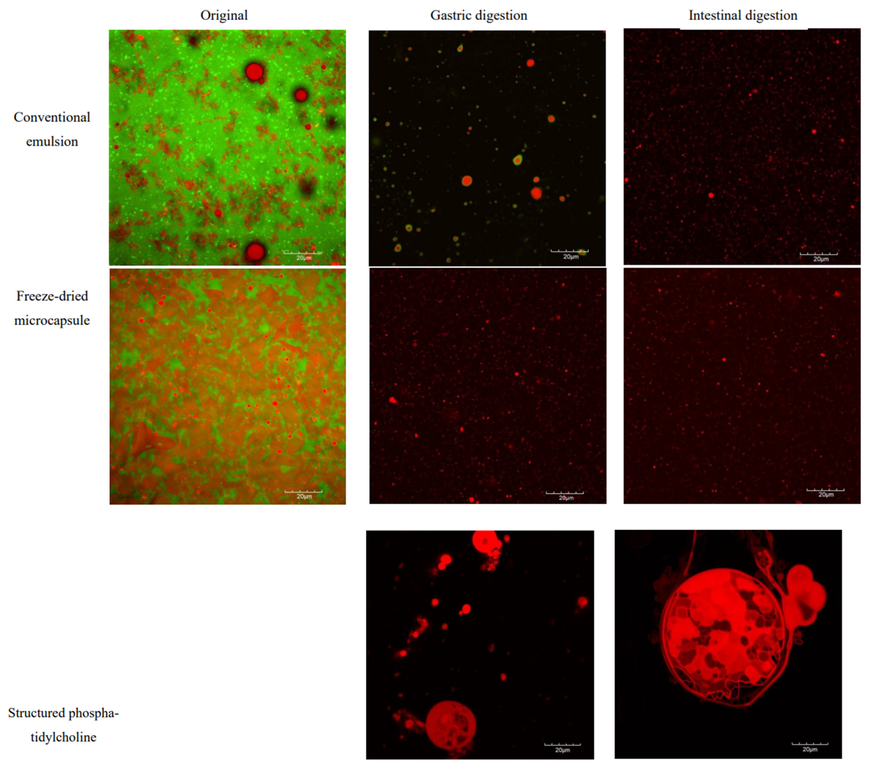 Molecules 30 02007 g007 Molecules 30 02007 g007