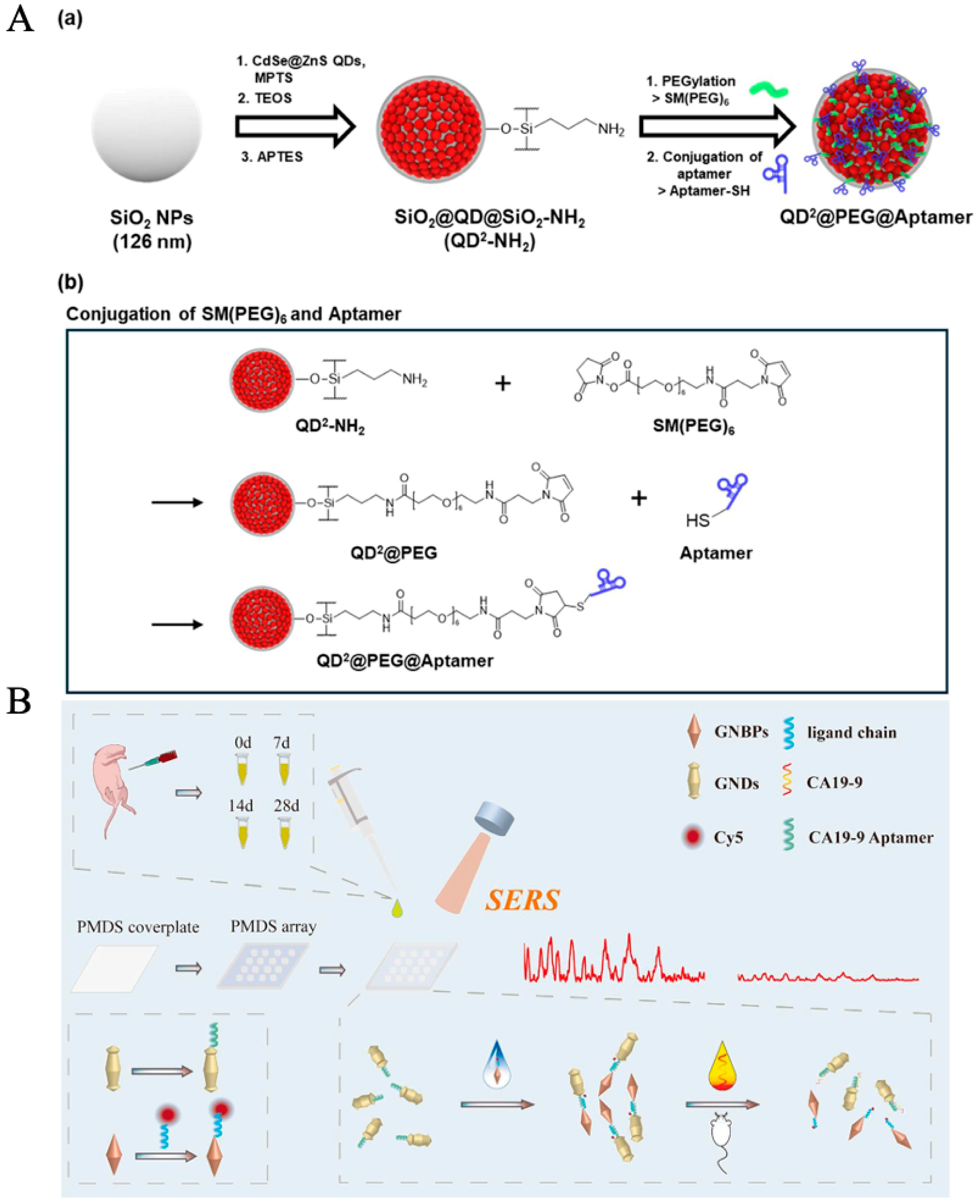 Molecules 30 02012 g001