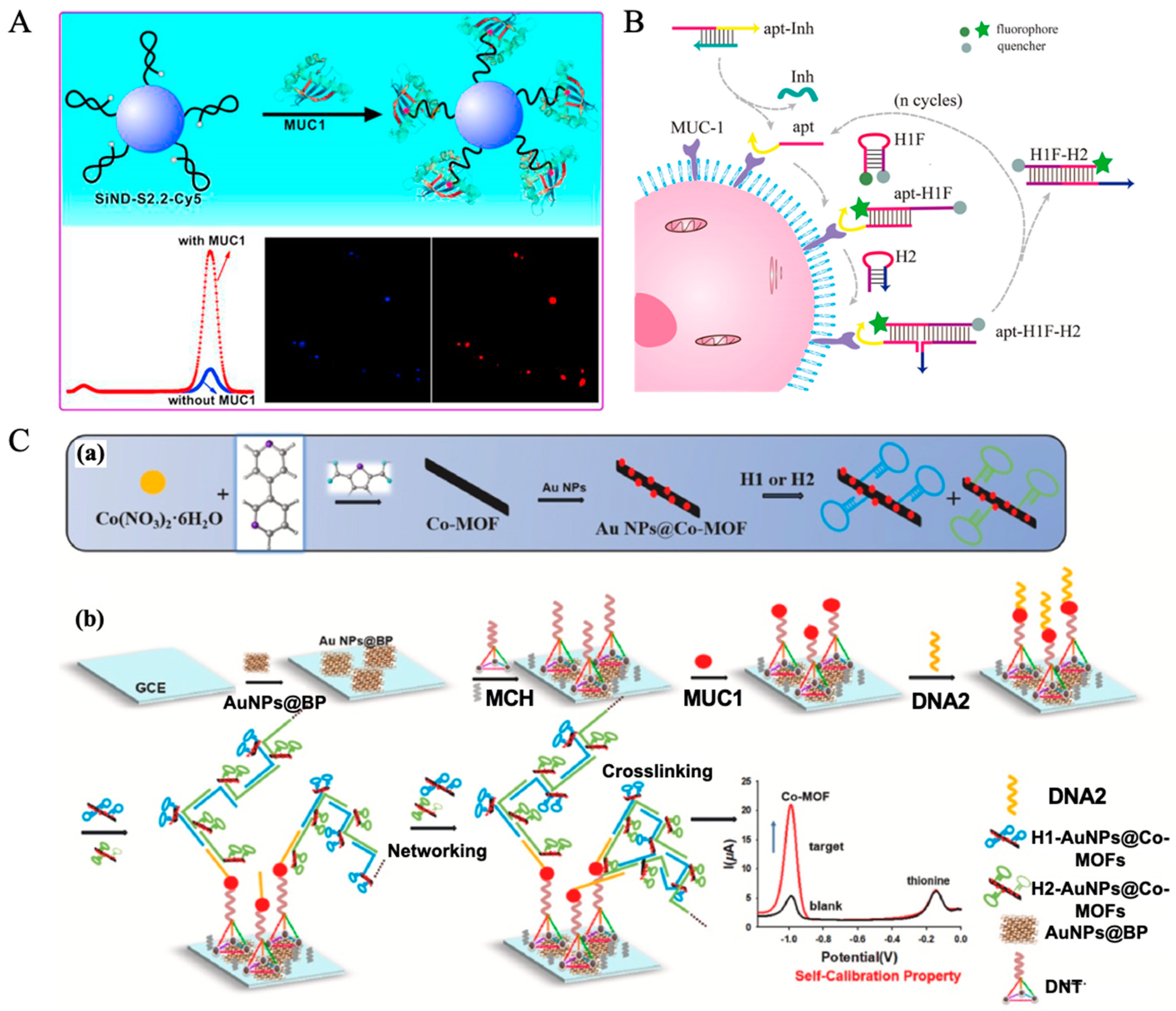 Molecules 30 02012 g003