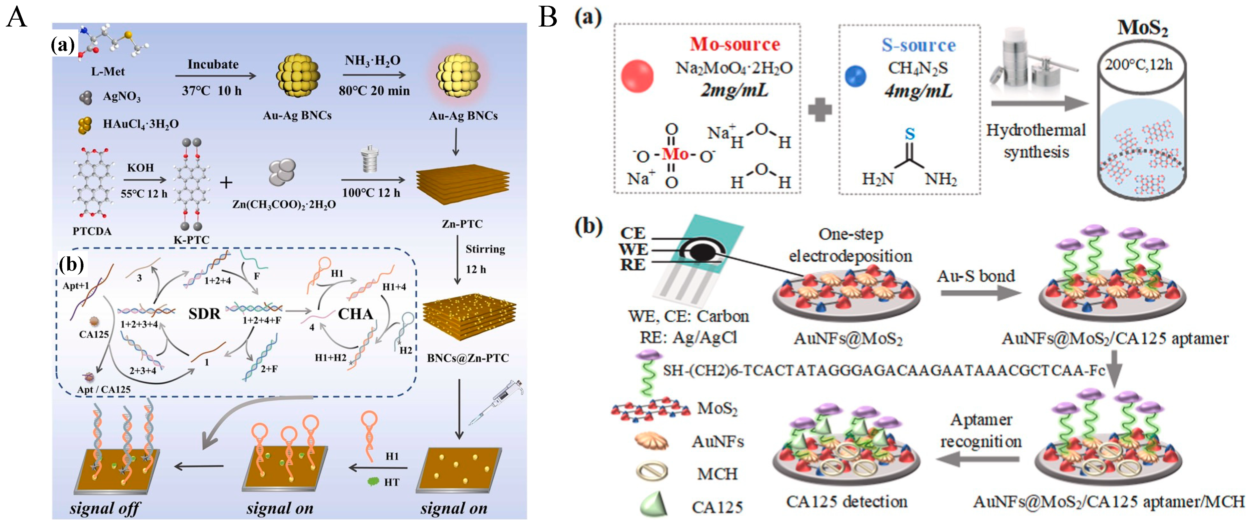Molecules 30 02012 g004