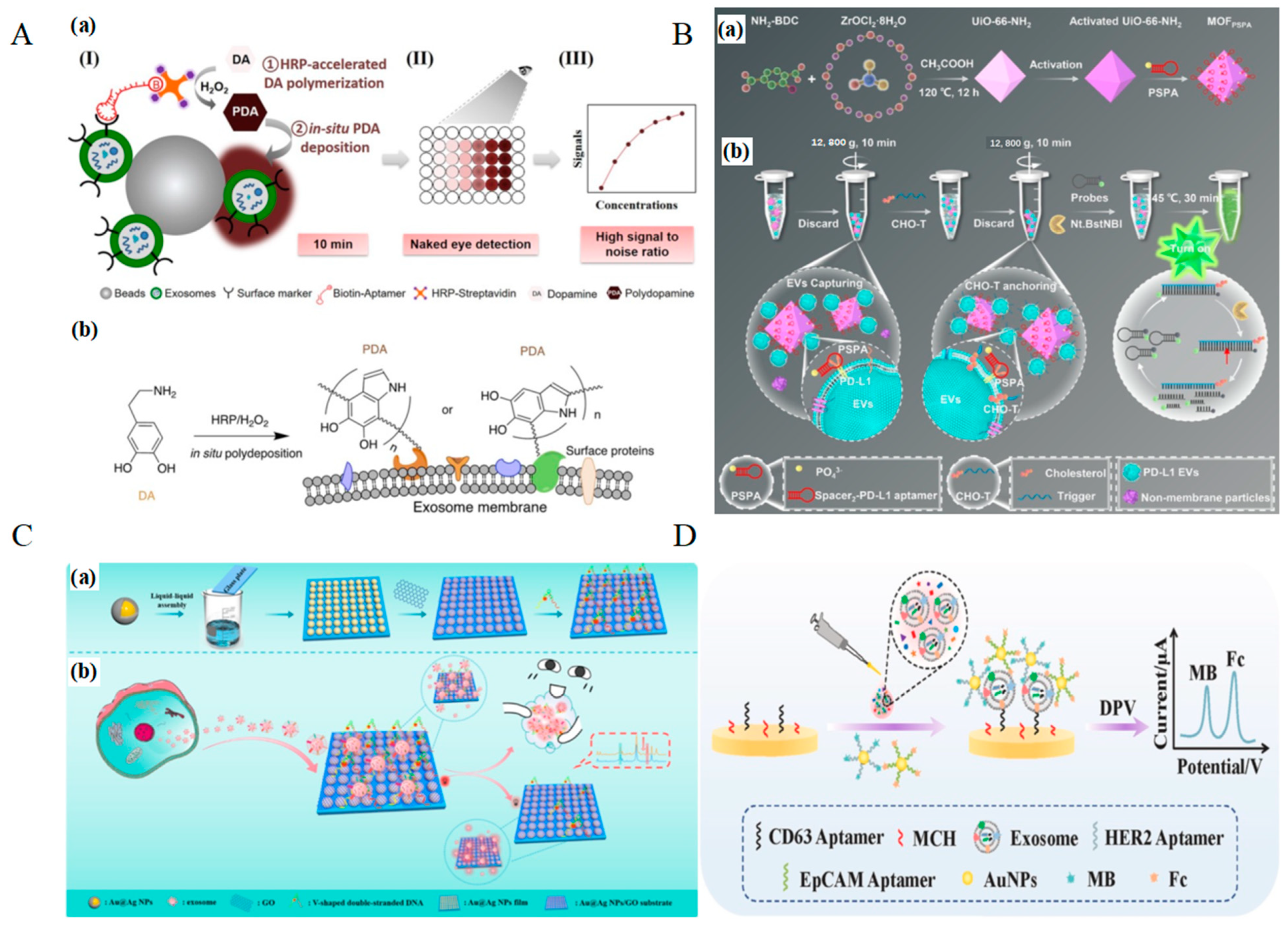Molecules 30 02012 g006