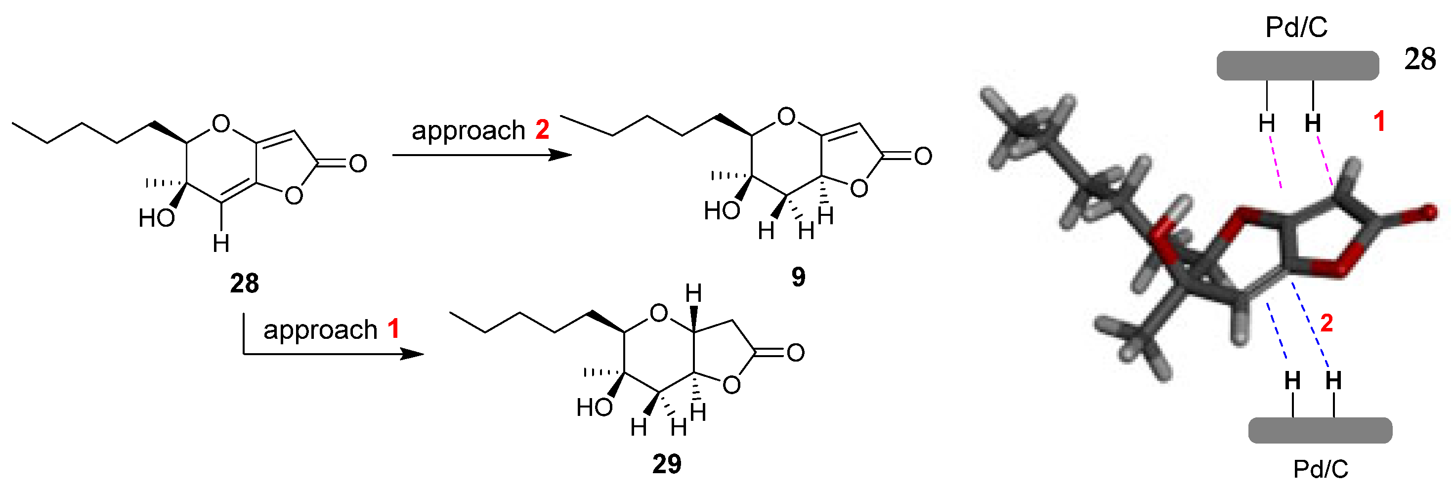 Molecules 30 02016 g006