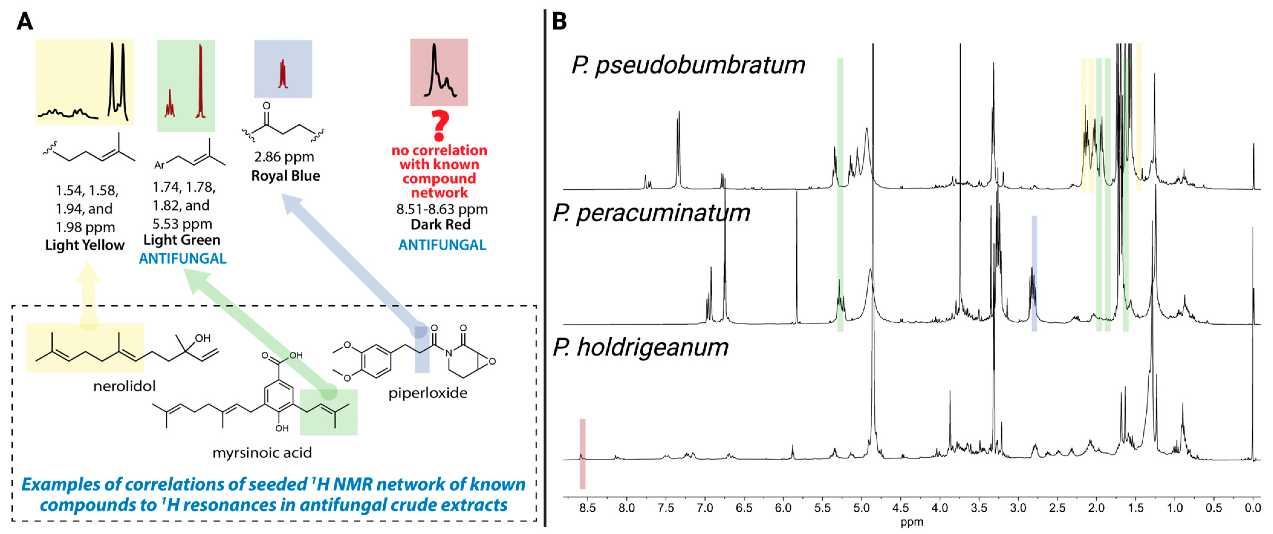 Molecules 30 02020 g001